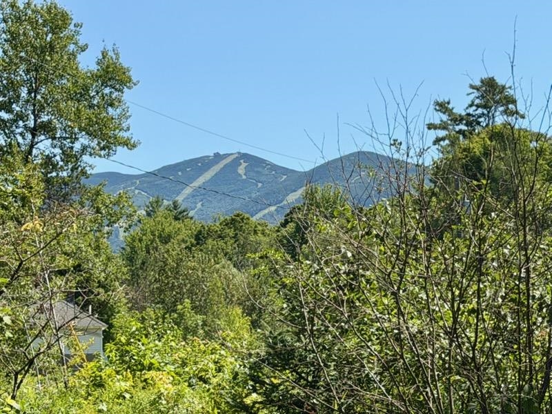 43 Sawmill Lane Property Photo 1