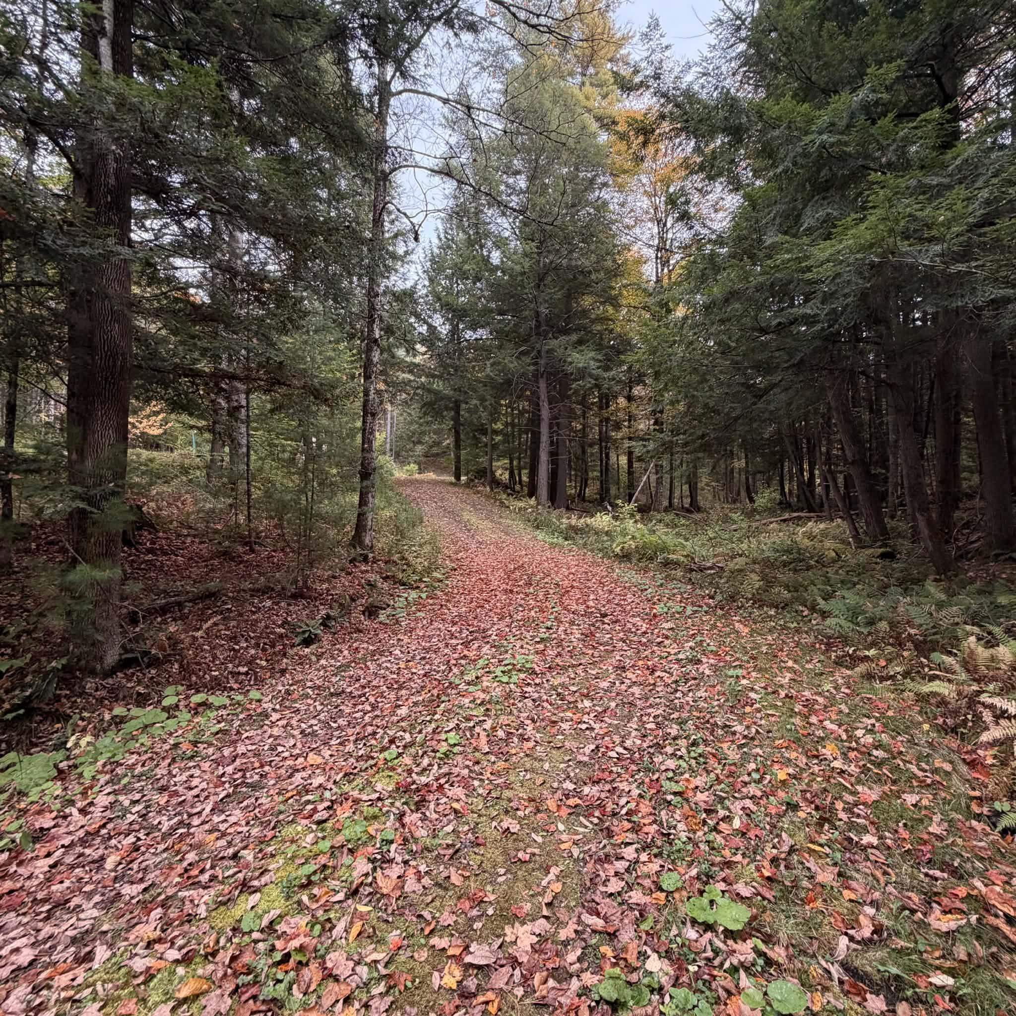 1348 Five Corners Road Property Photo 5