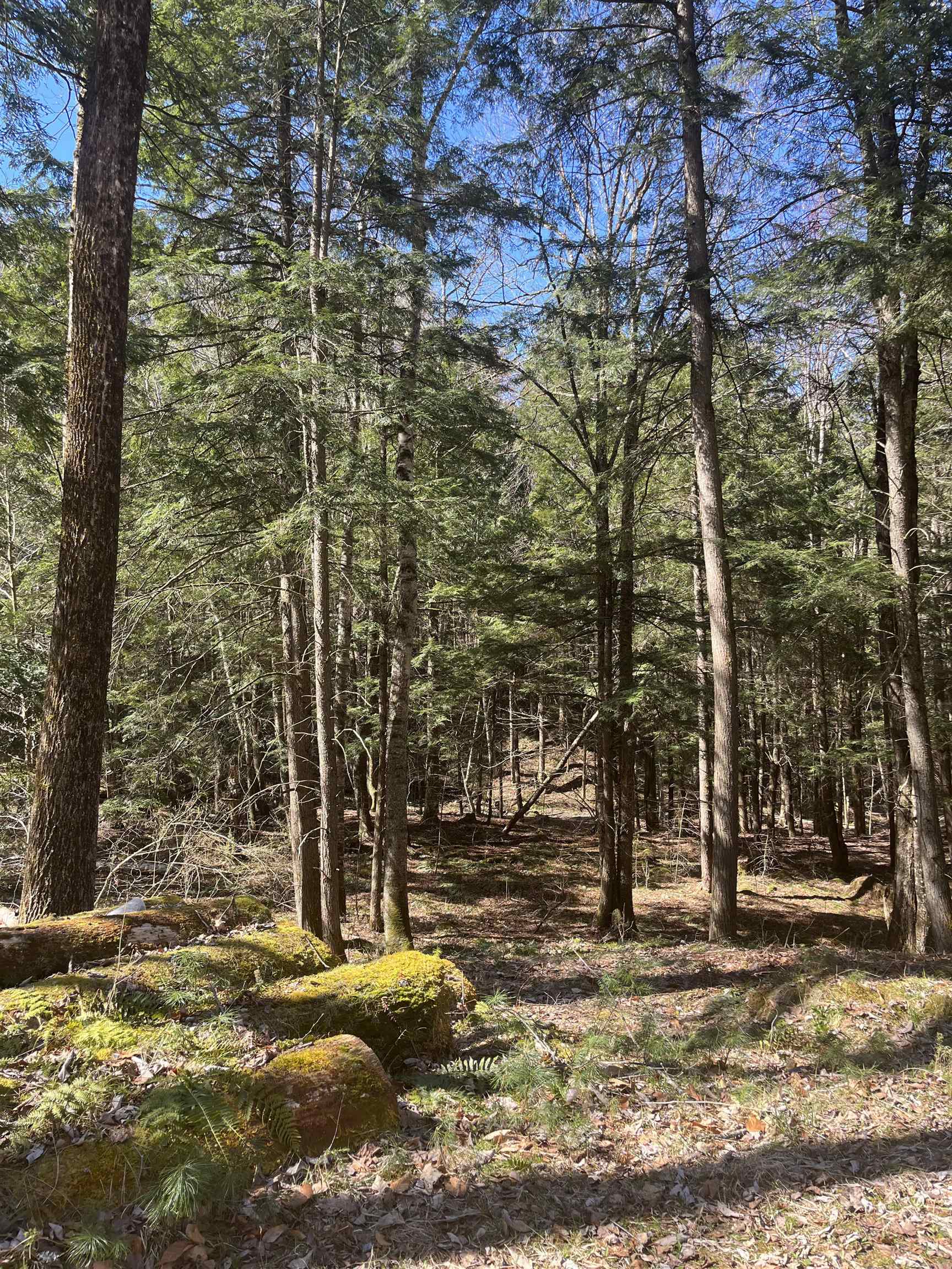 1348 Five Corners Road Property Photo 29