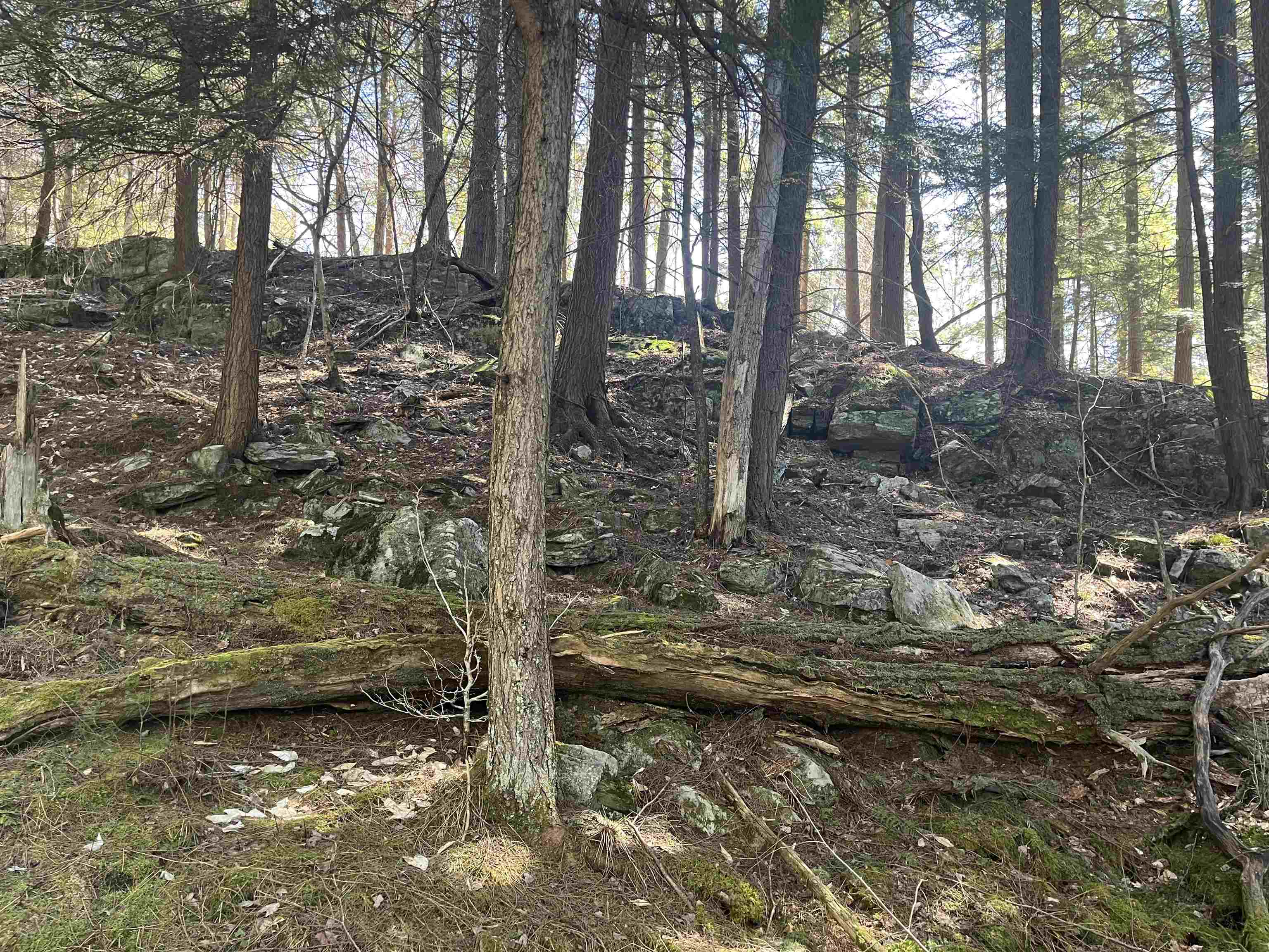 1348 Five Corners Road Property Photo 37