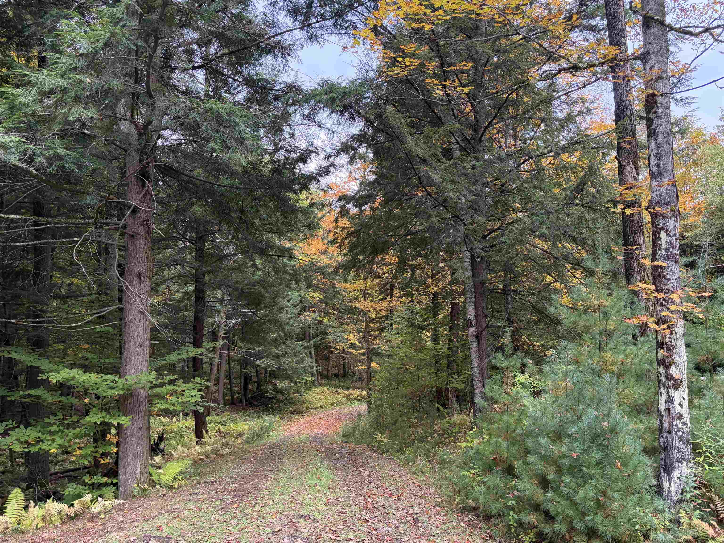 1348 Five Corners Road Property Photo 42