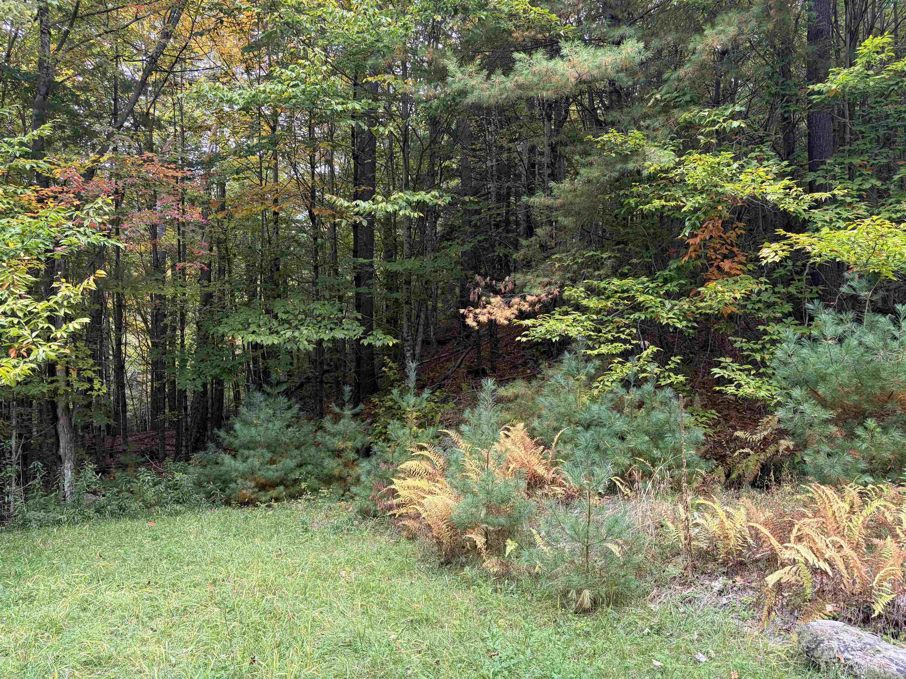1348 Five Corners Road Property Photo 44