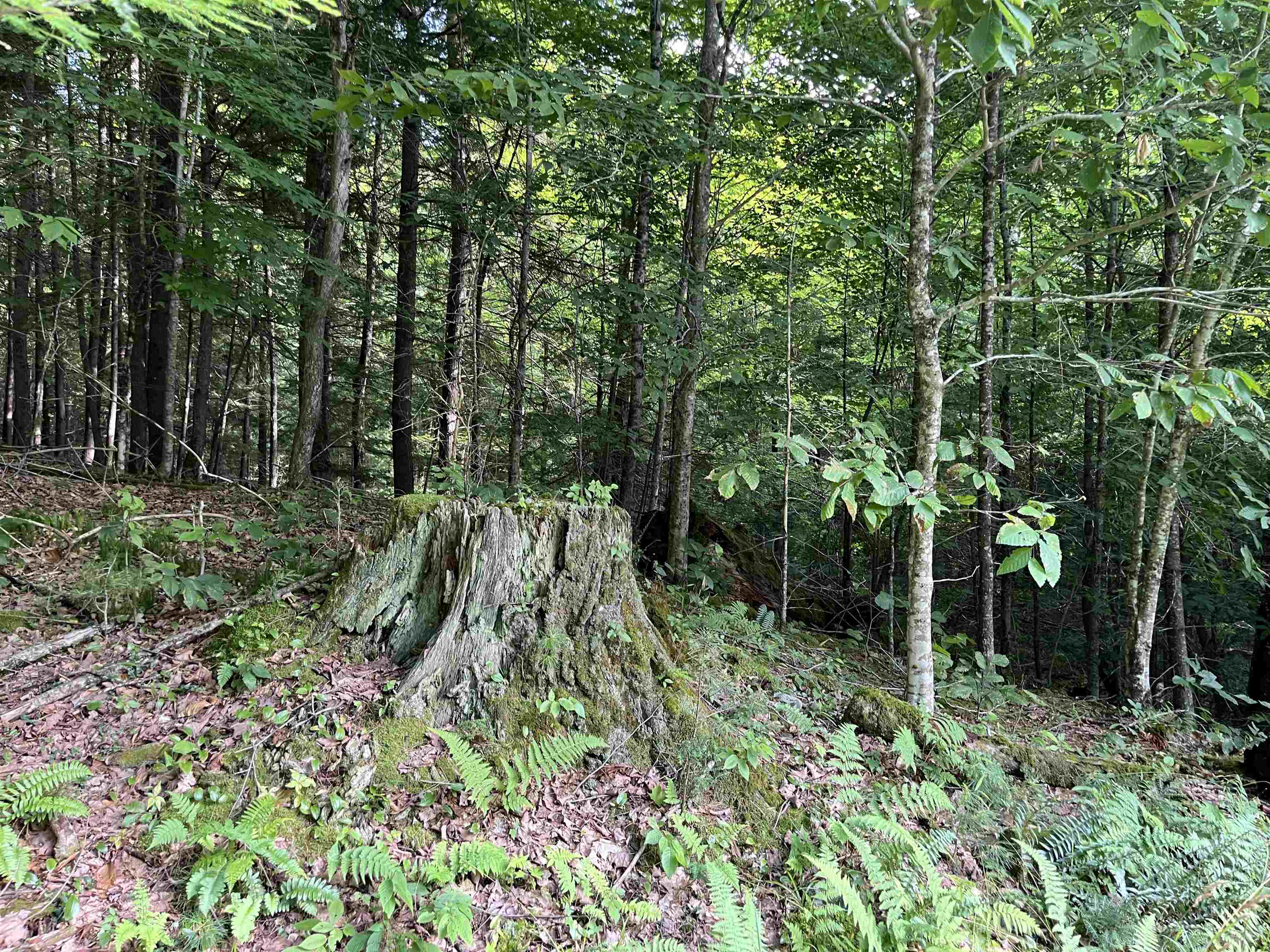 1348 Five Corners Road Property Photo 45