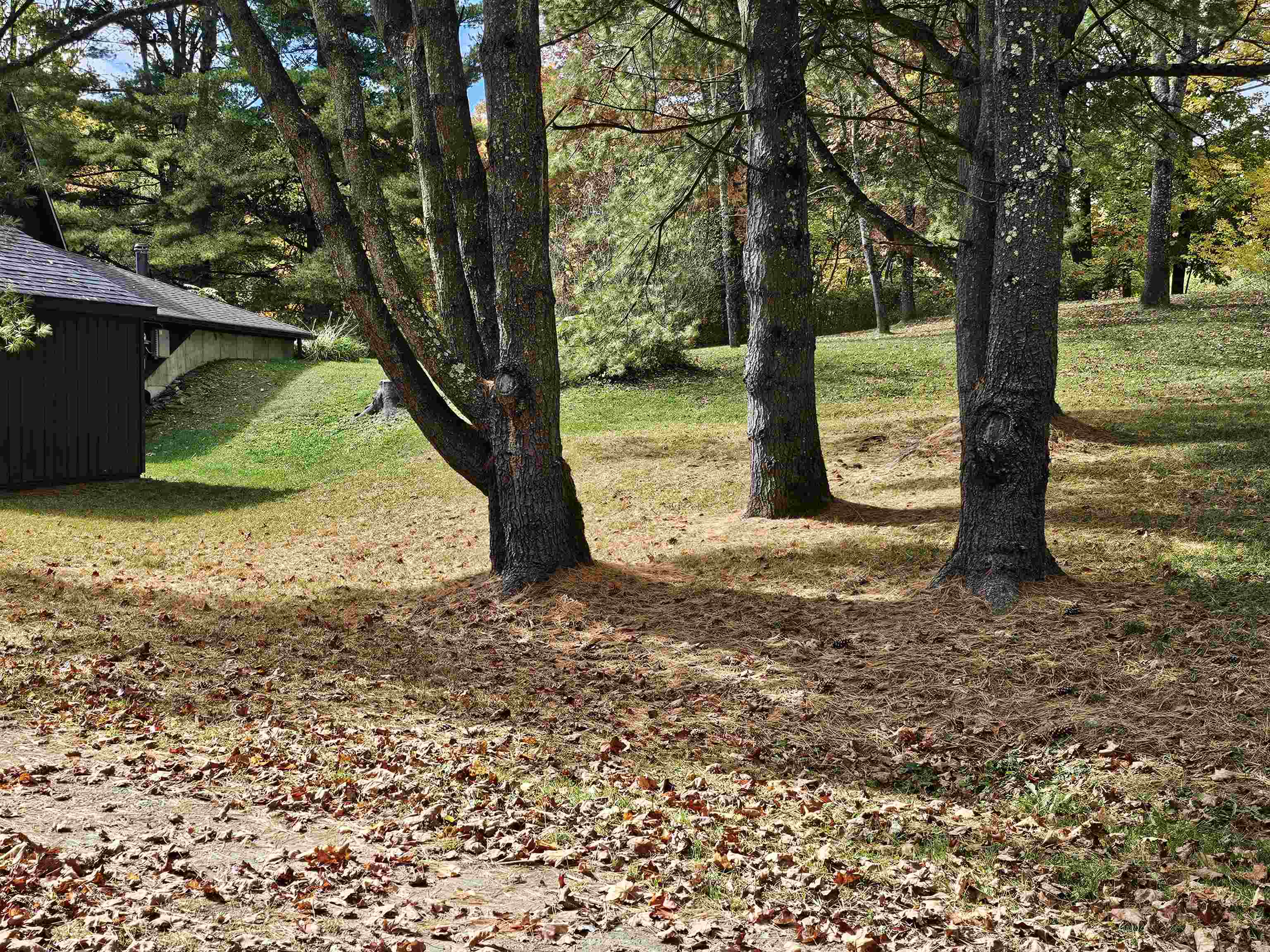42 Meader Road Property Photo 39