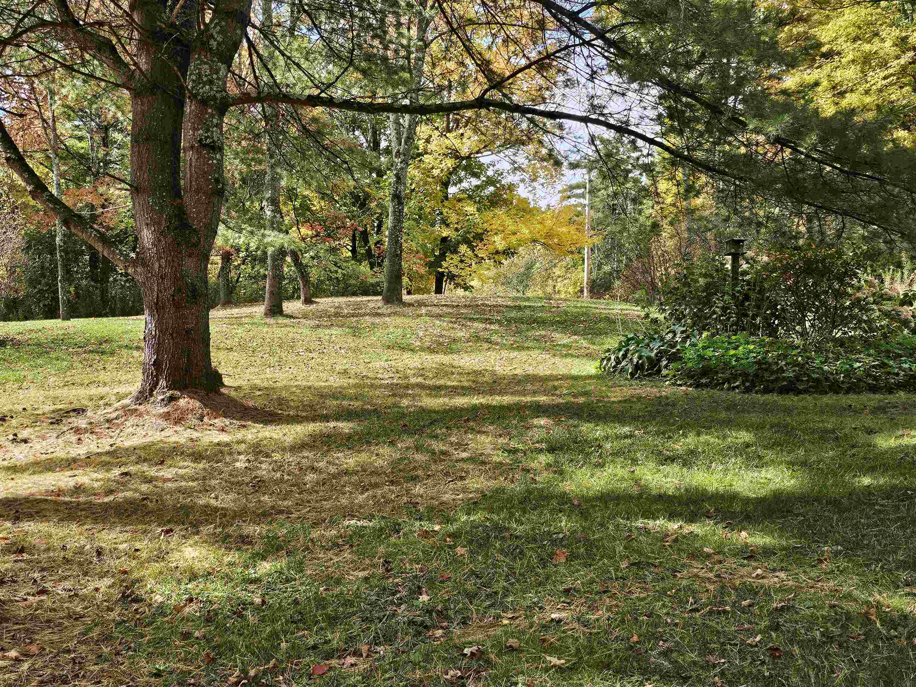 42 Meader Road Property Photo 44