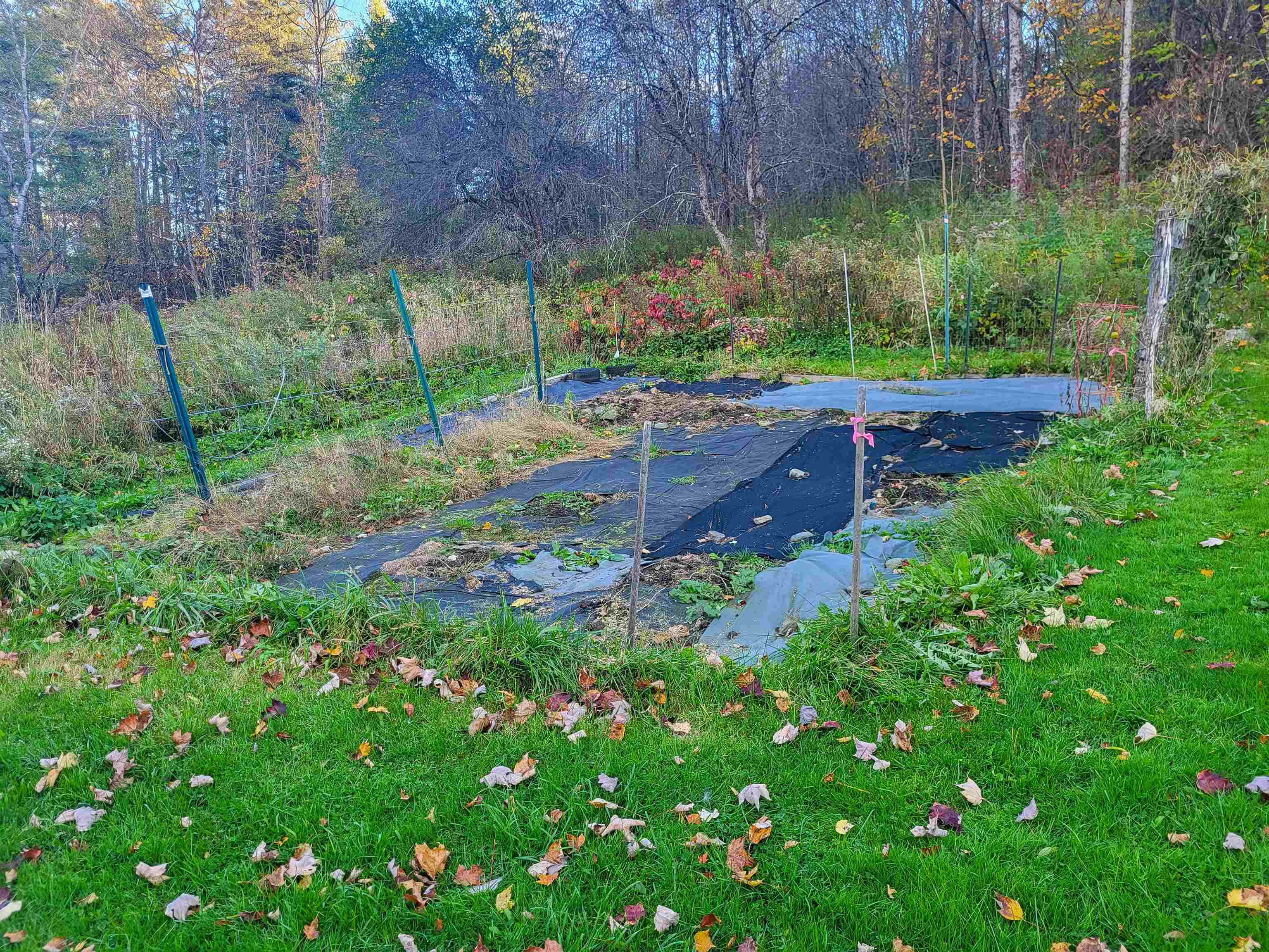 67 Peak Road Property Photo 12