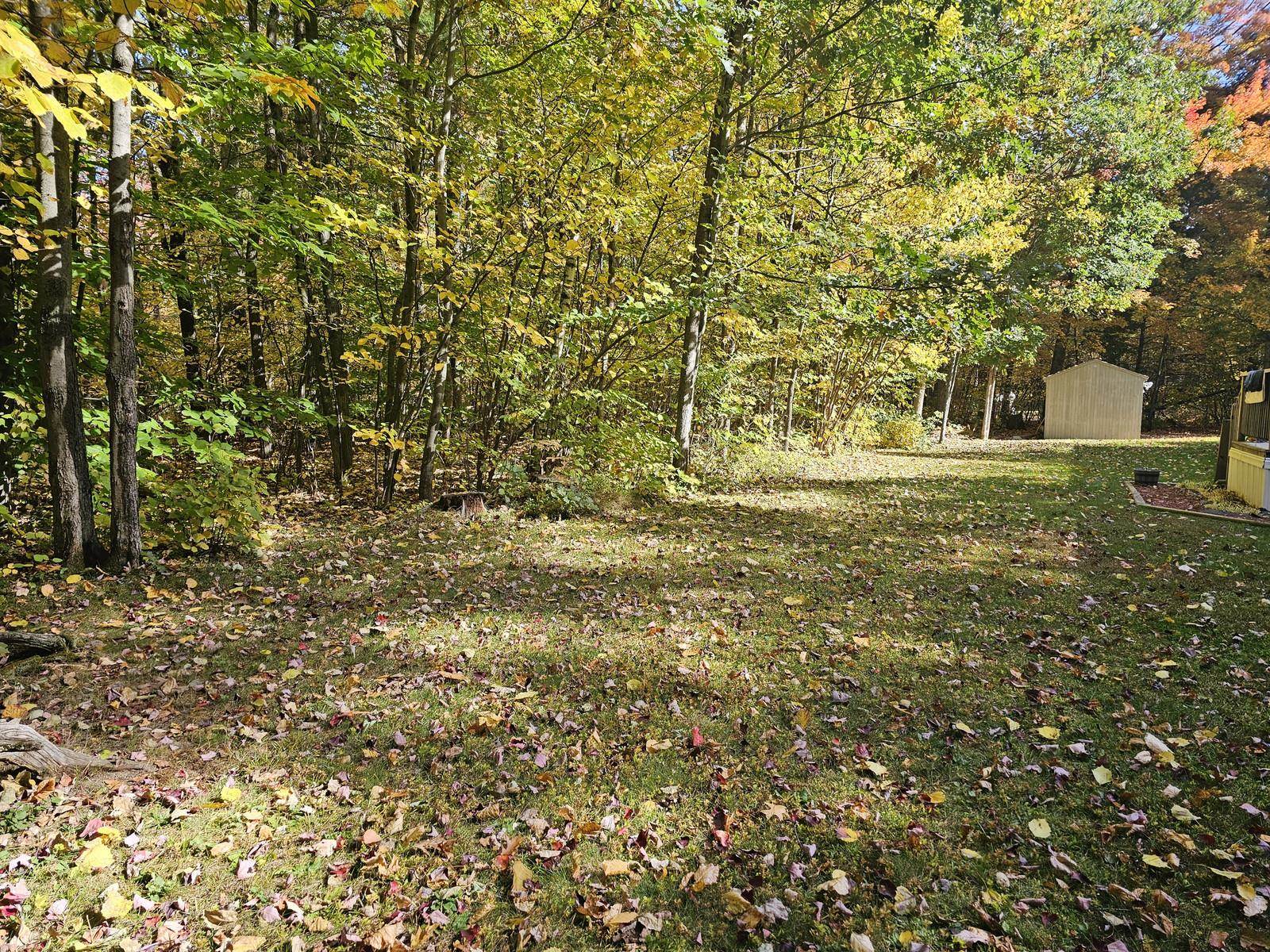 55 Wexford Lane Property Photo 34
