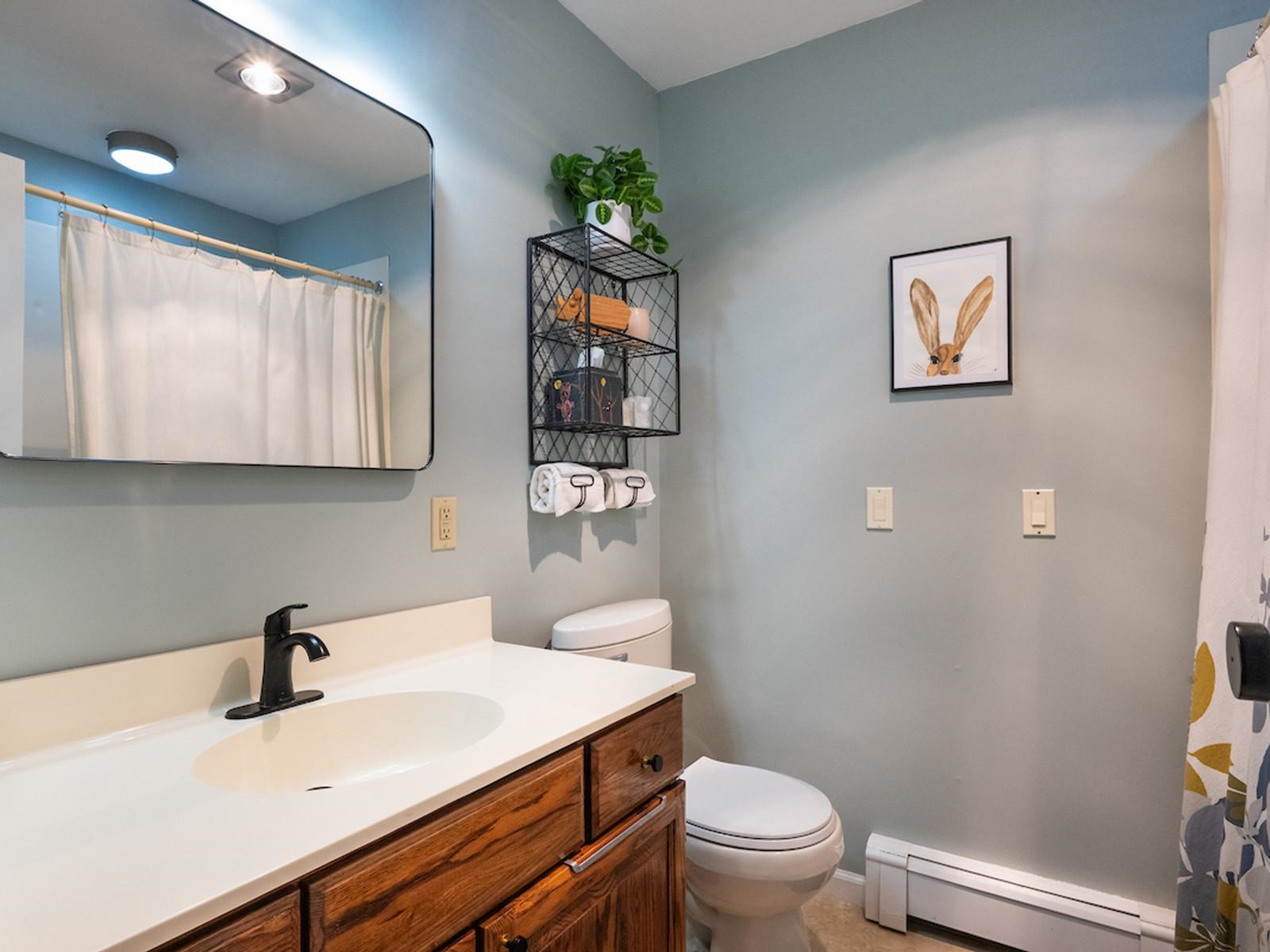 16 Greenwood Avenue Property Photo 29