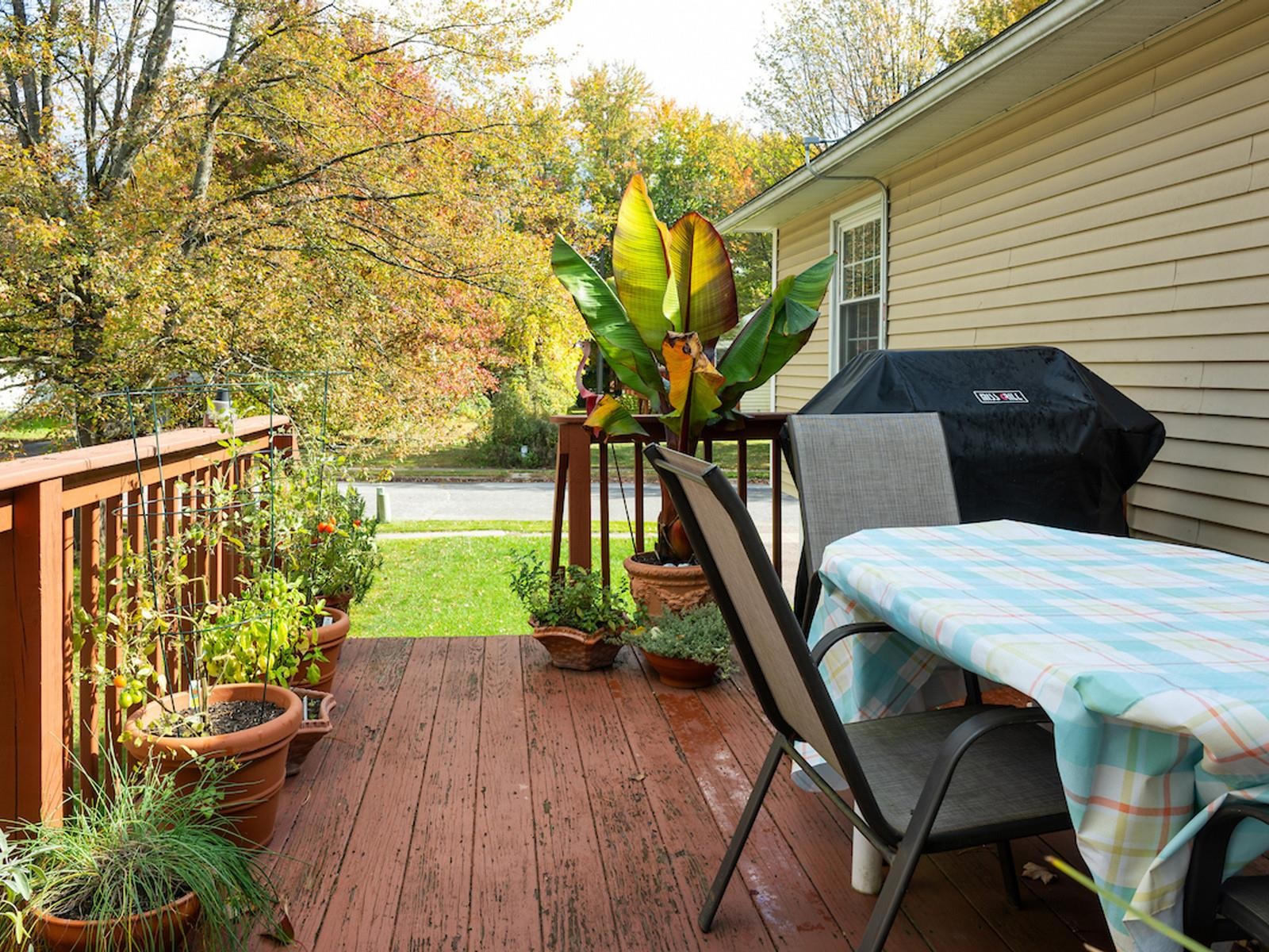 16 Greenwood Avenue Property Photo 35