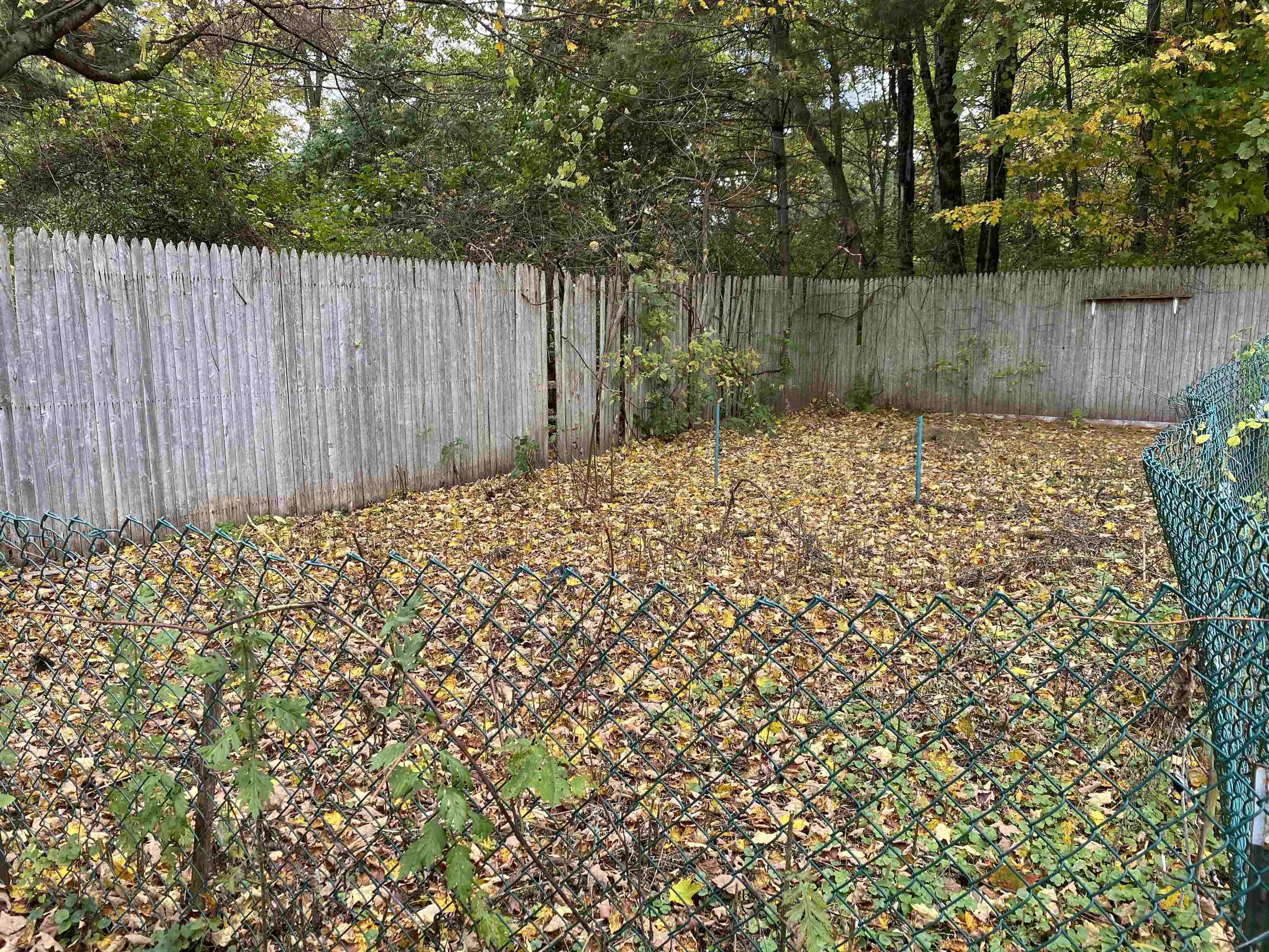 225 Chasbrit Road Property Photo 7