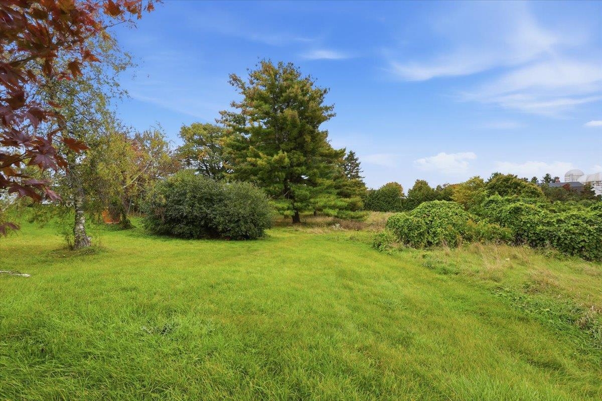 1225 Dorset Street Property Photo 45