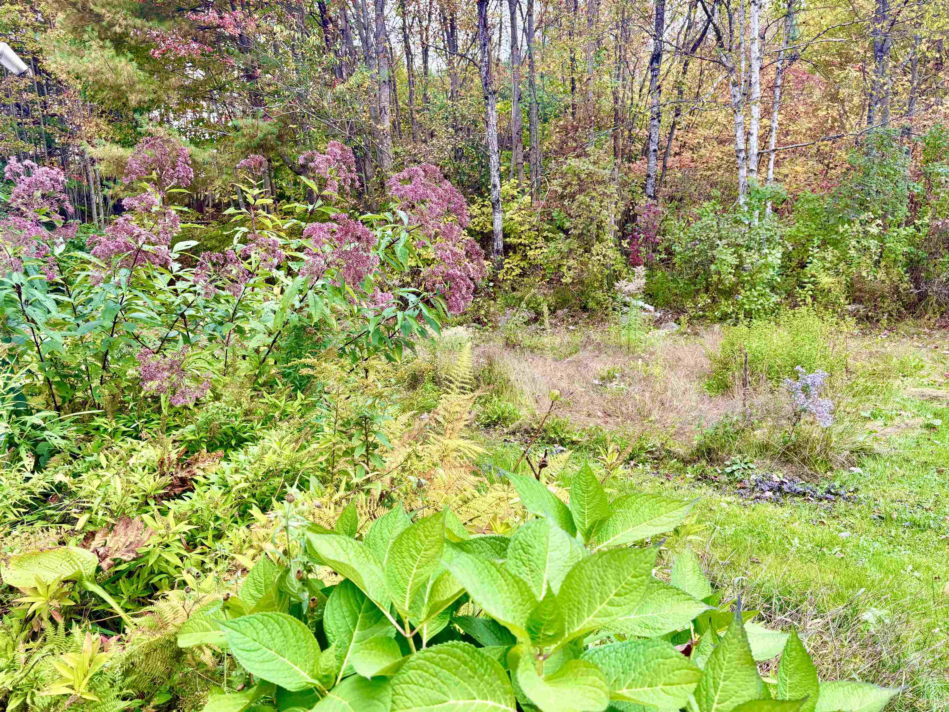 1445 Maillett Road Property Photo 39