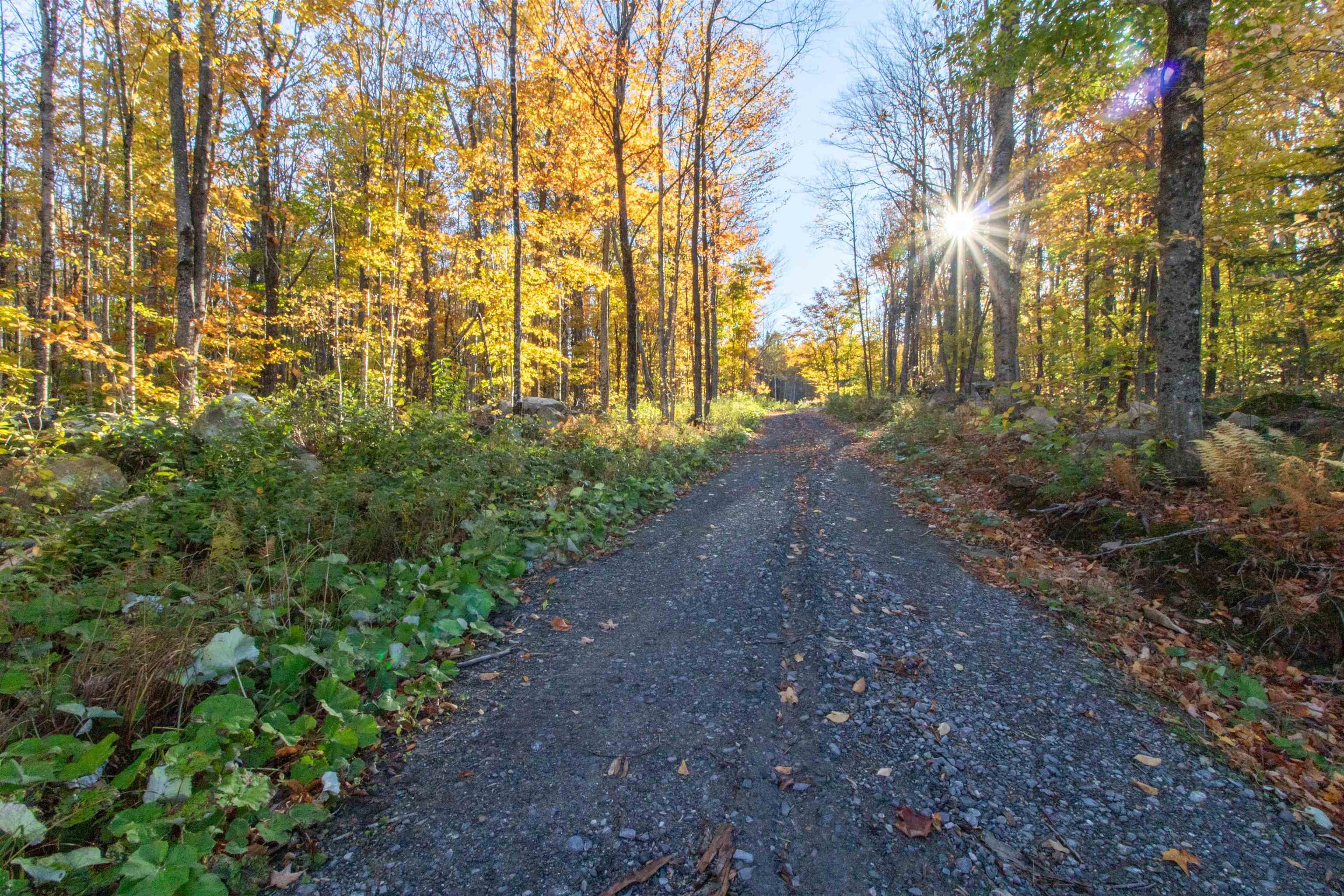 420 Ponemah Path Property Photo 4