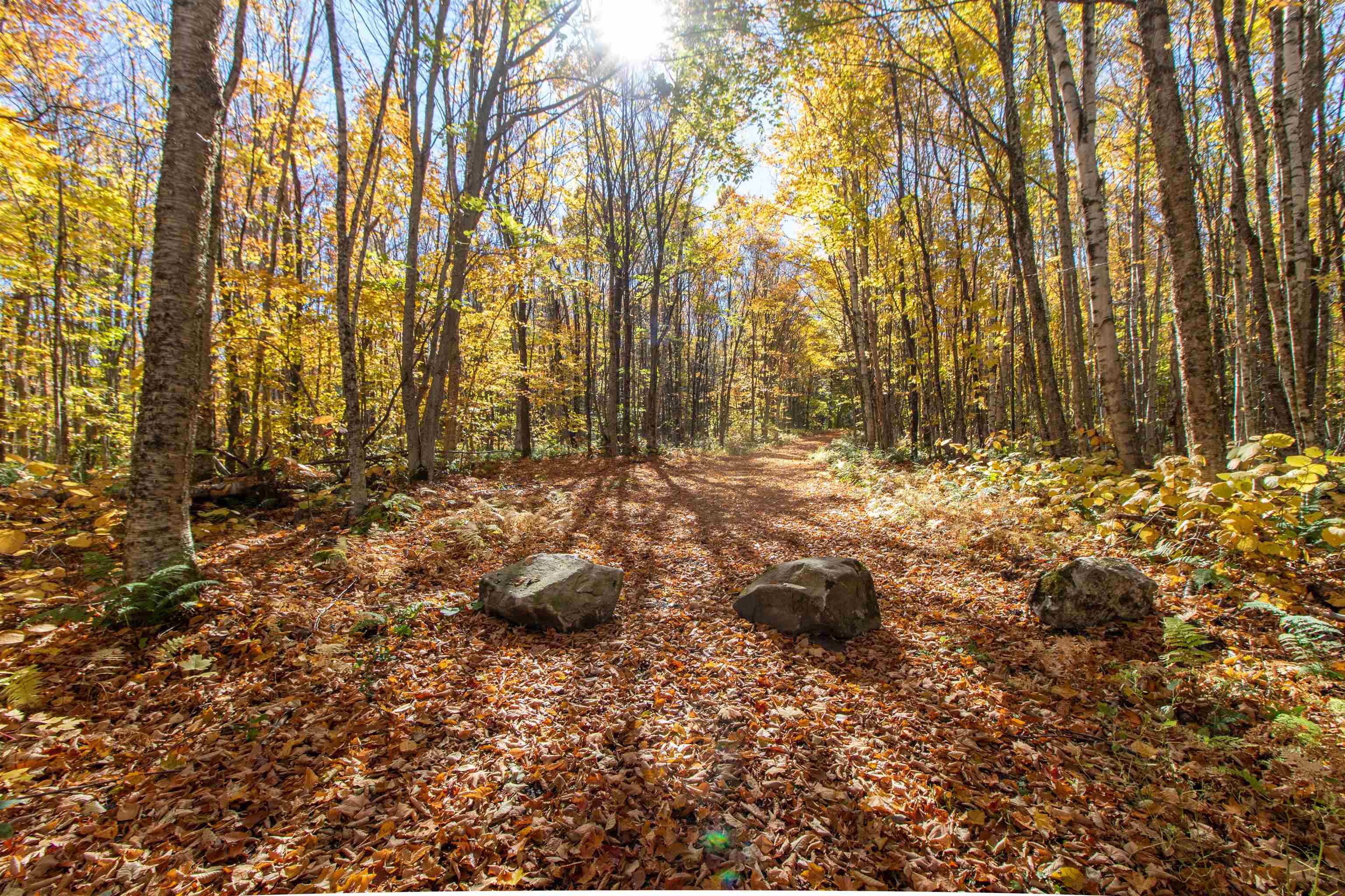420 Ponemah Path Property Photo 38