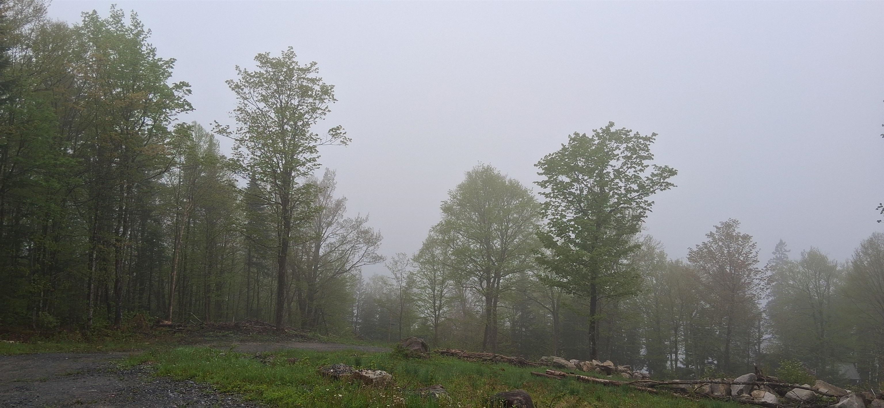 420 Ponemah Path Property Photo 48