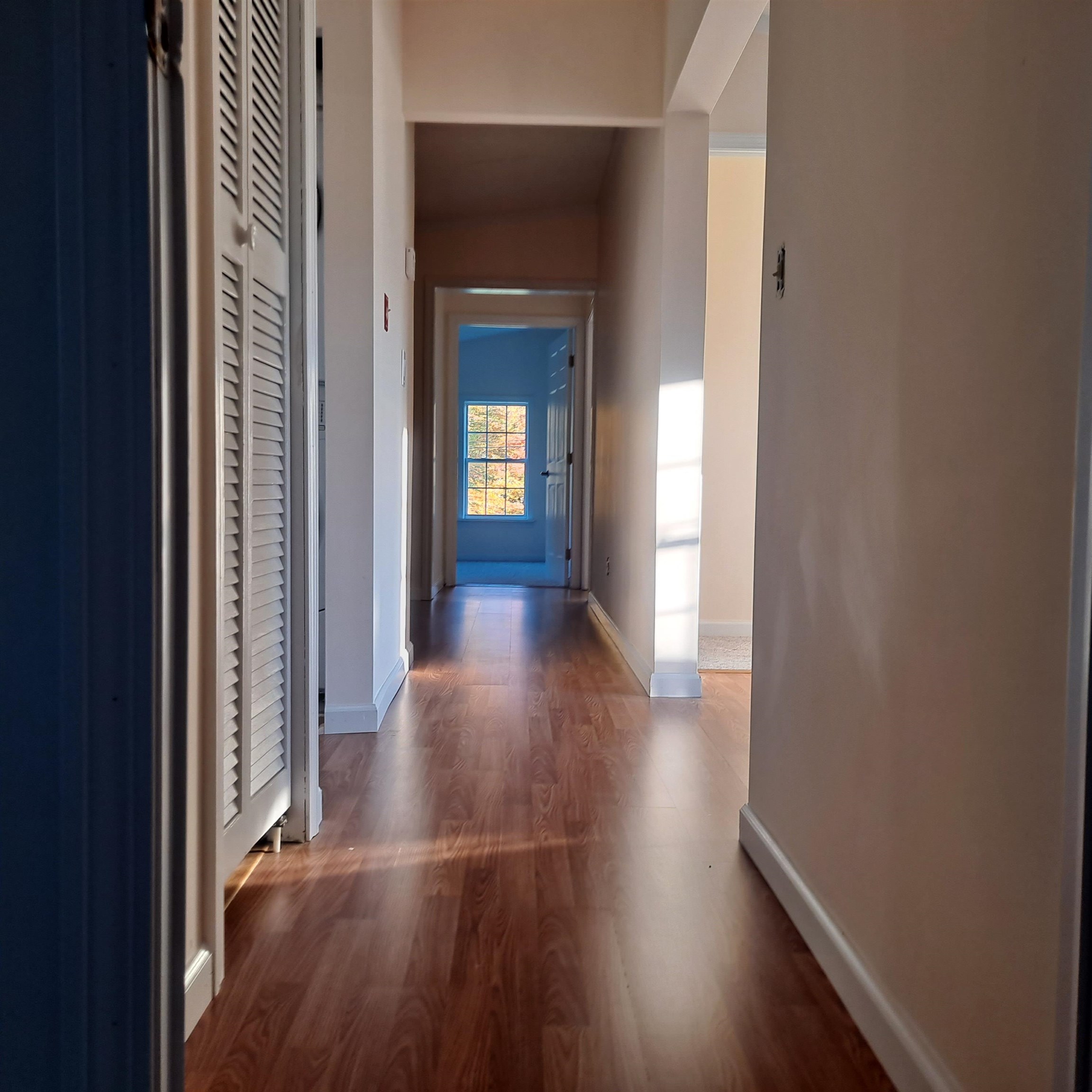 34 Windy Knob Drive Property Photo 22