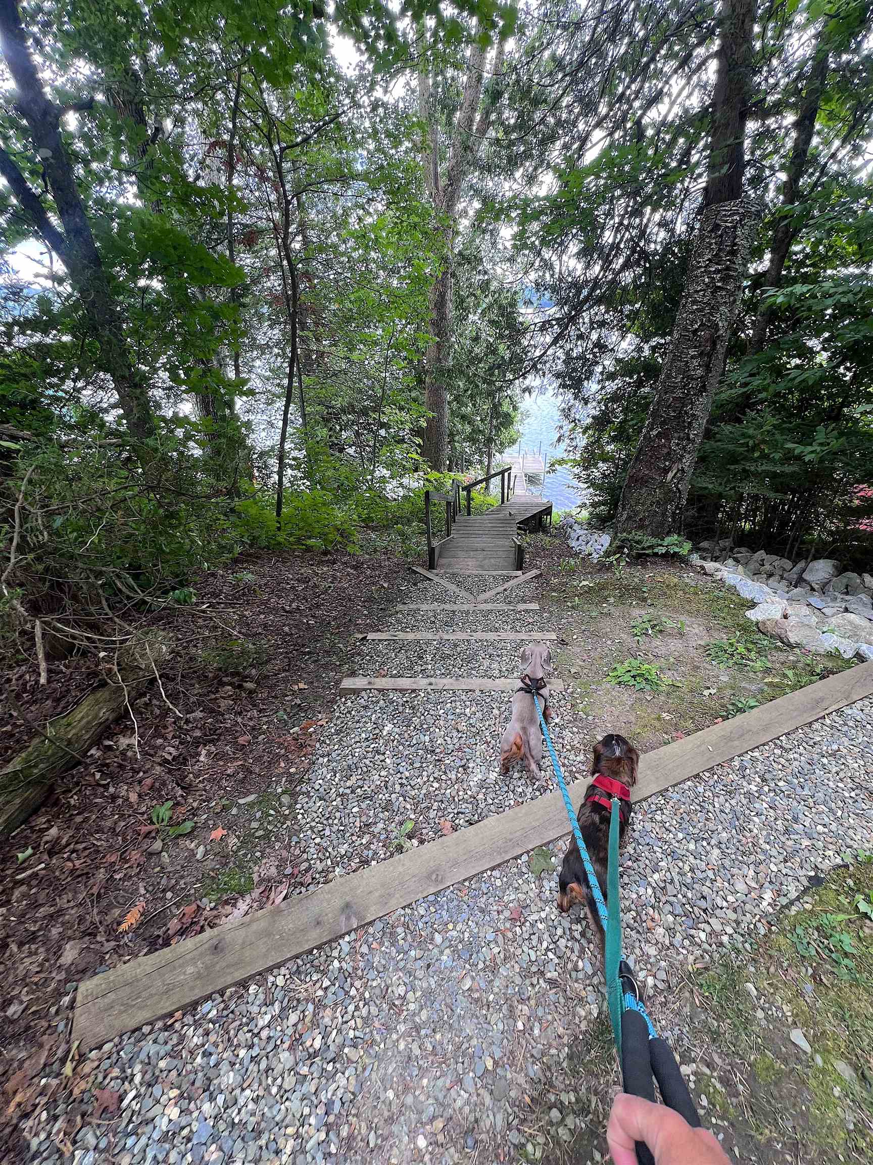 63 Barre Boulevard Property Photo 33