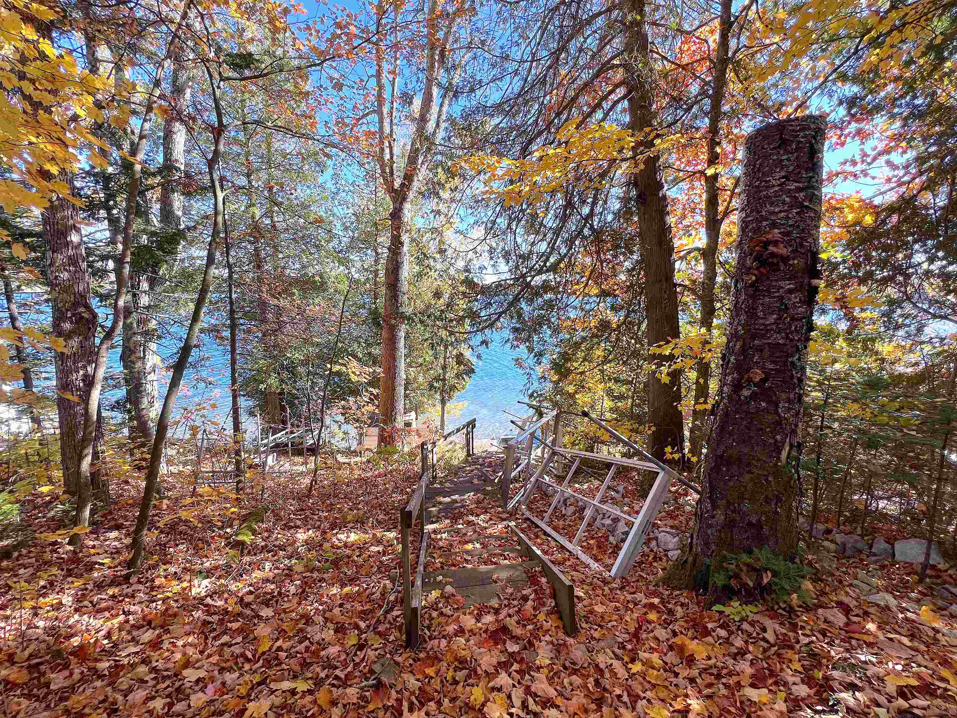 63 Barre Boulevard Property Photo 34