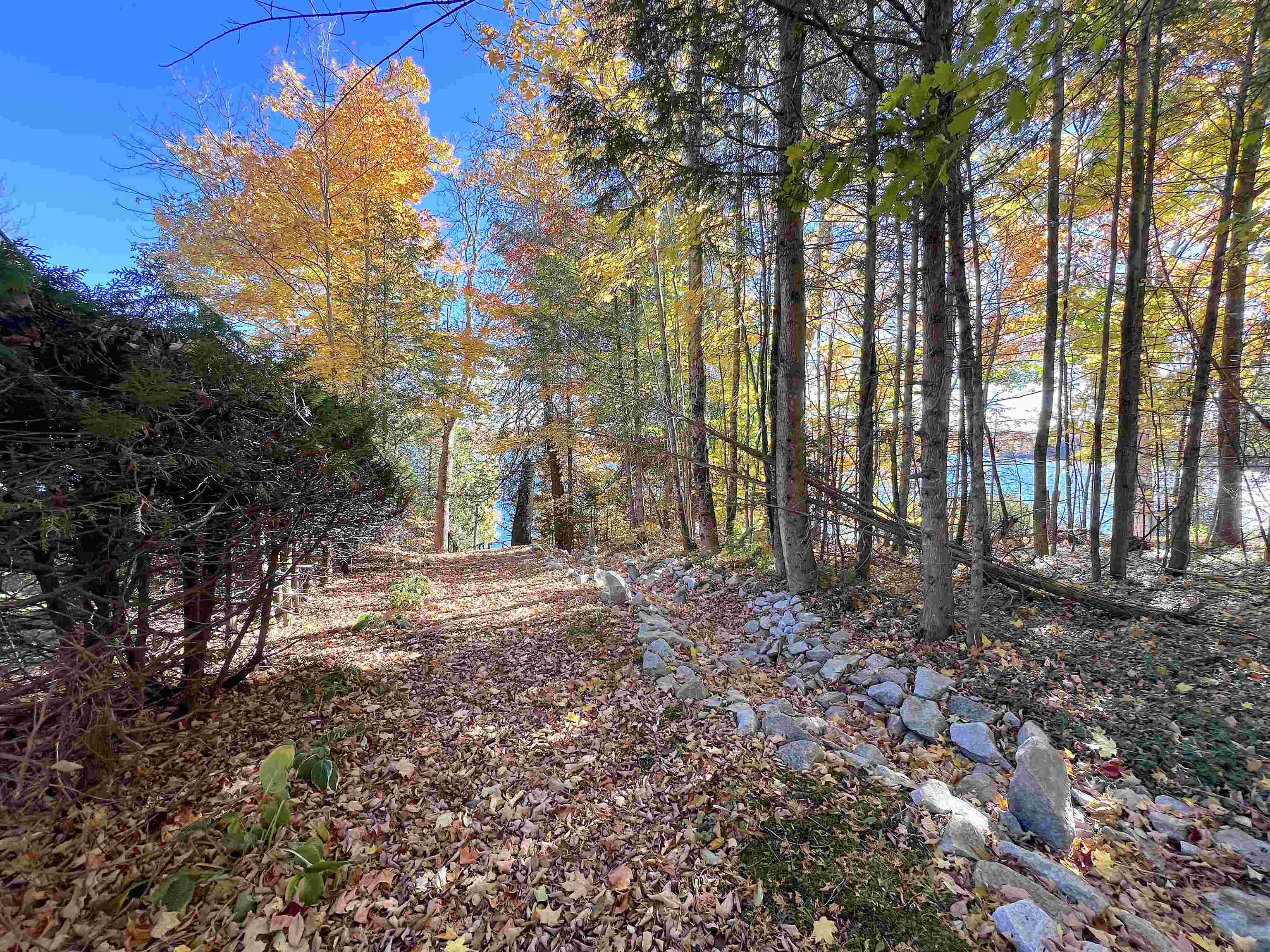 63 Barre Boulevard Property Photo 35