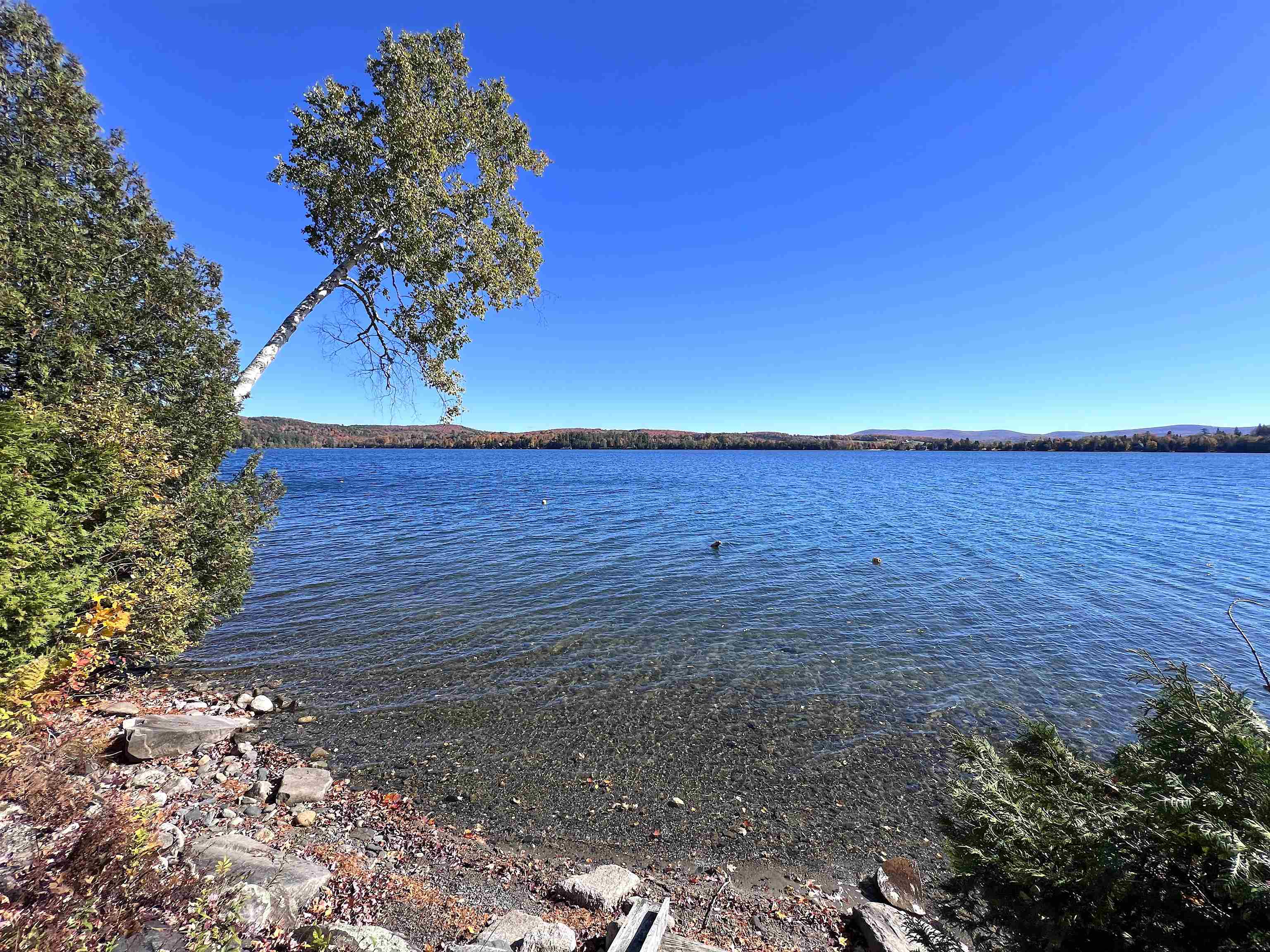 63 Barre Boulevard Property Photo 46