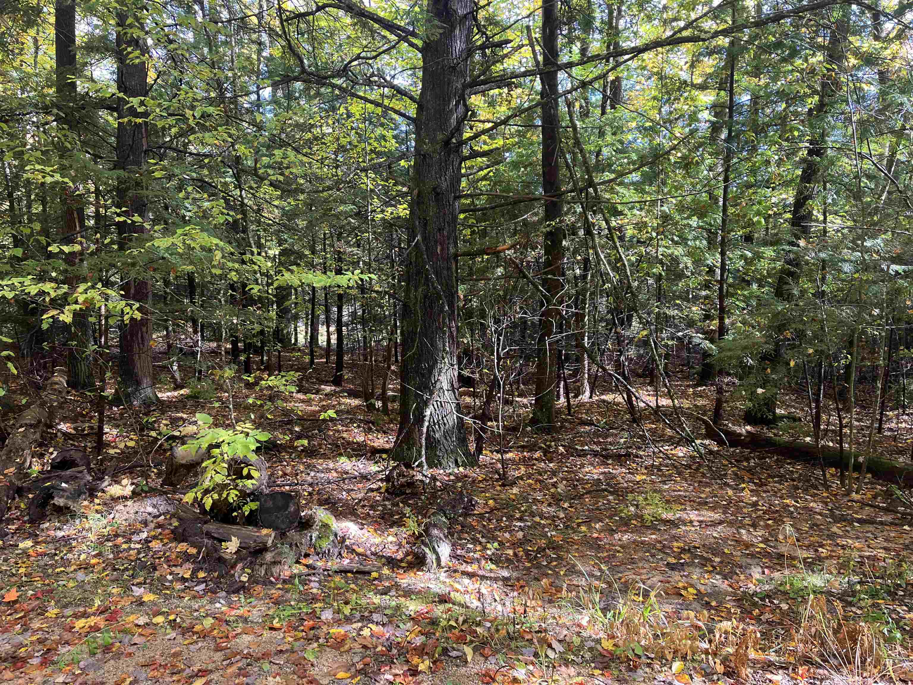 83 Sargent Lake Road Property Photo 4
