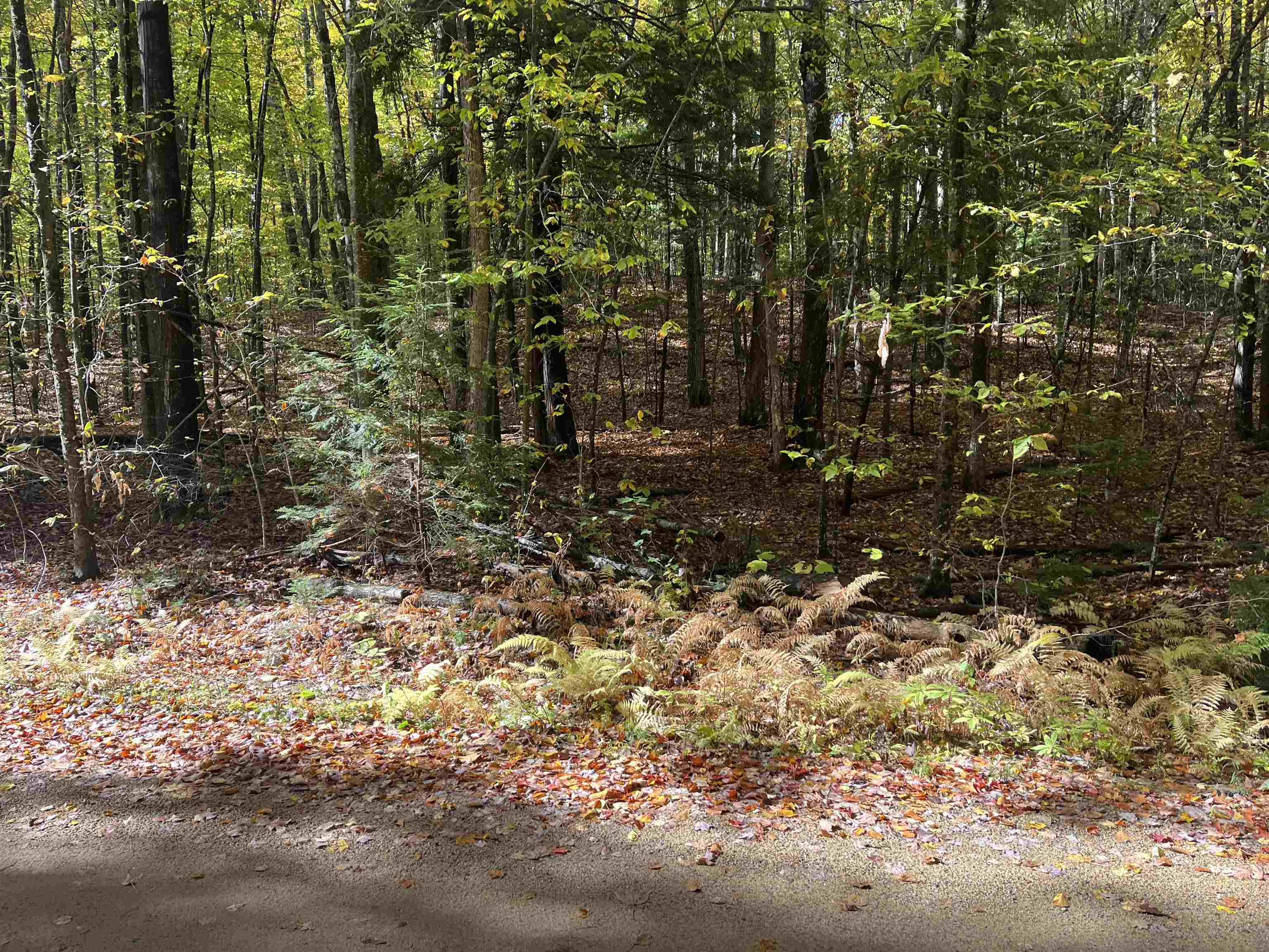 83 Sargent Lake Road Property Photo 5