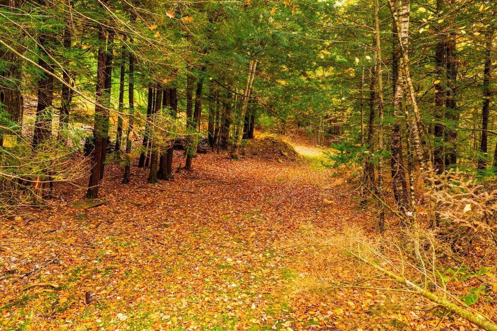 Lot 51 & 7 Montauk Way Property Photo 8