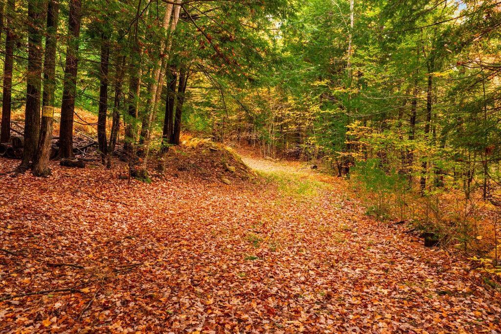 Lot 51 & 7 Montauk Way Property Photo 9