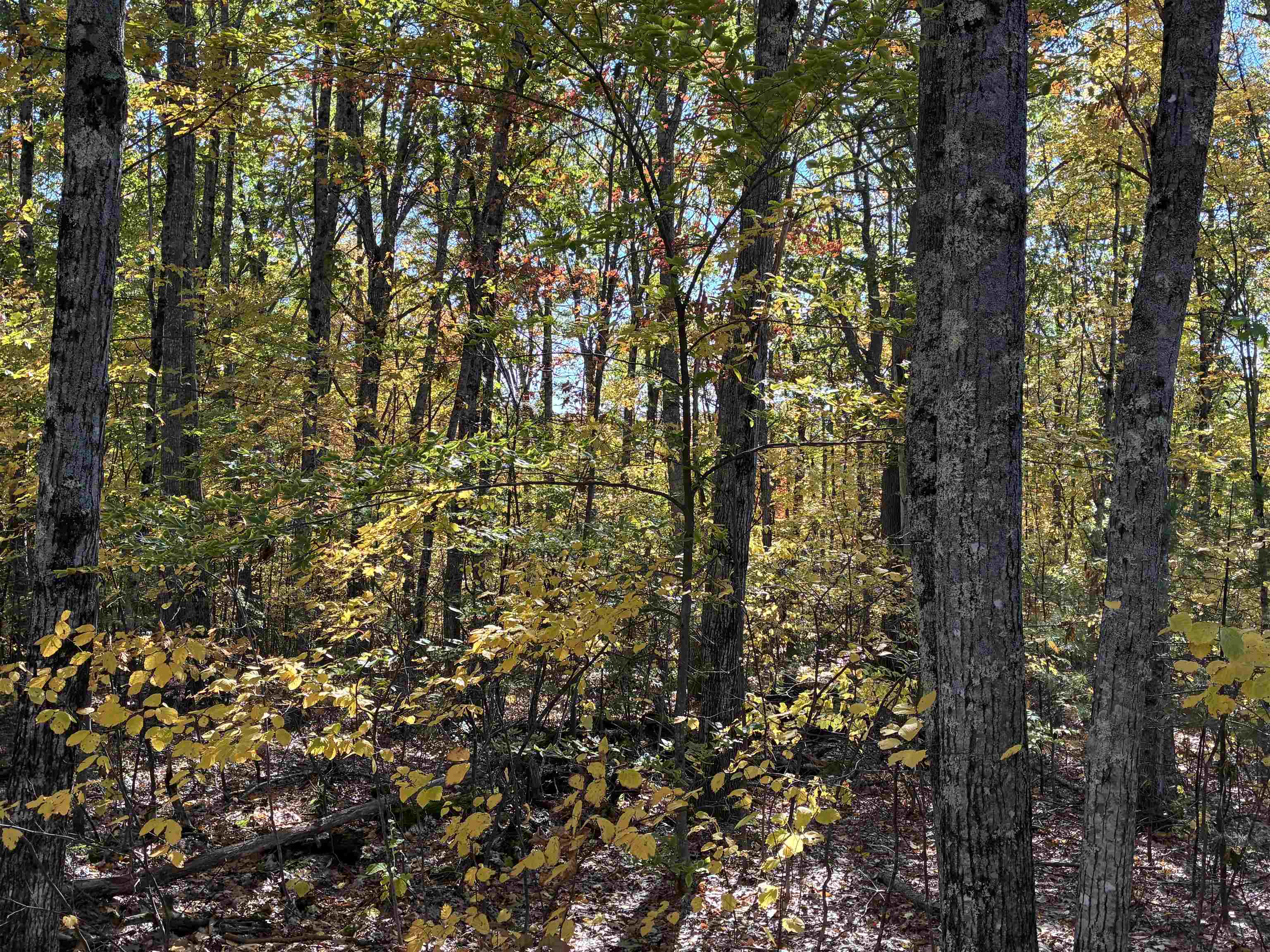 00 Redding Lane Property Photo 3