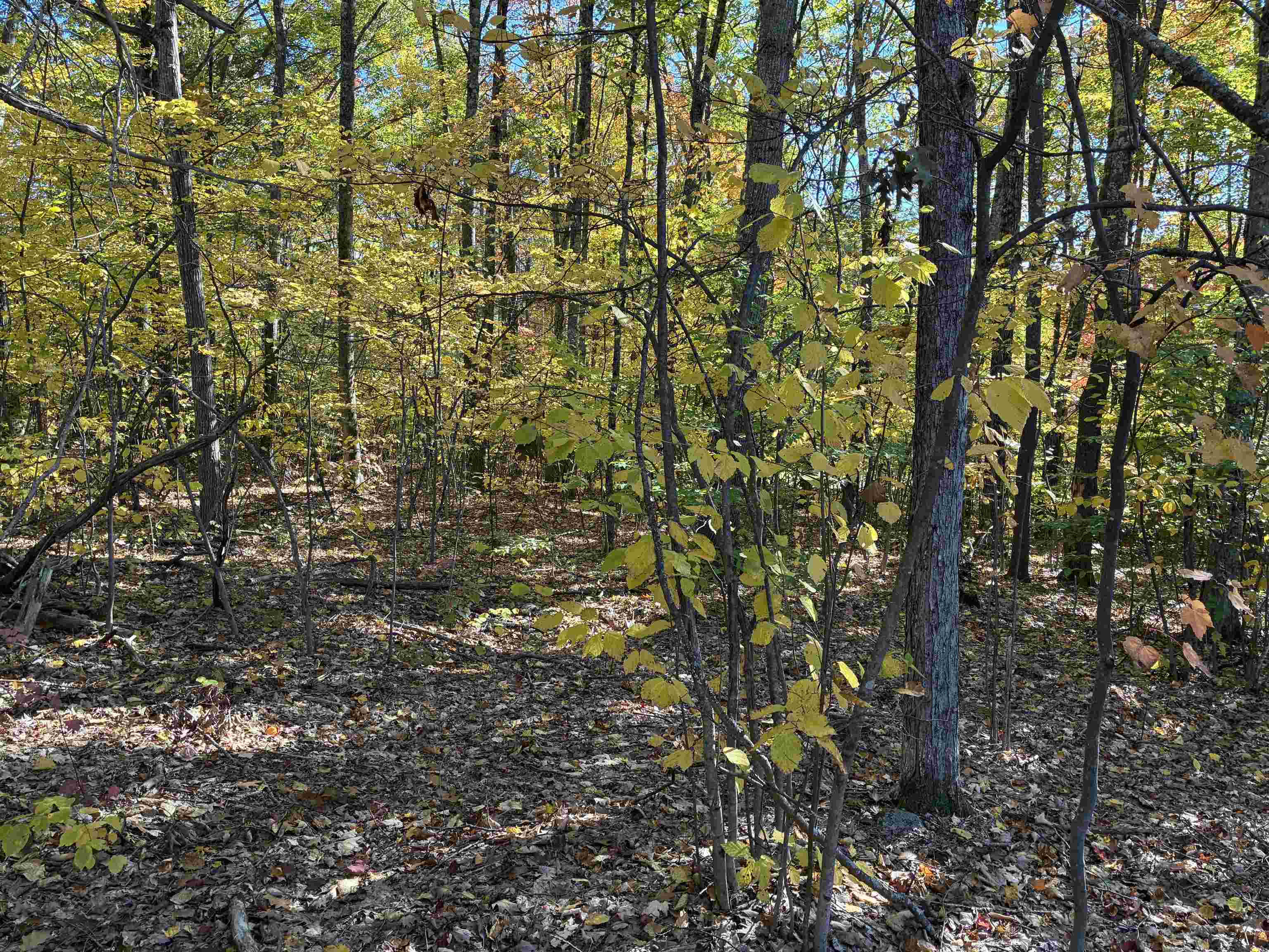 00 Redding Lane Property Photo 7