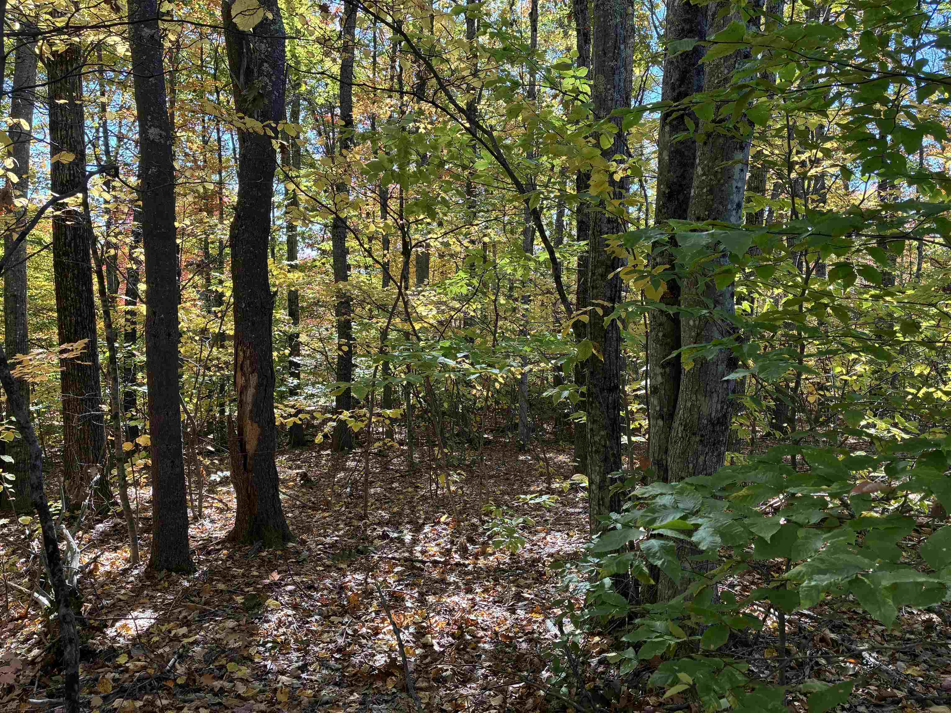 00 Redding Lane Property Photo 8