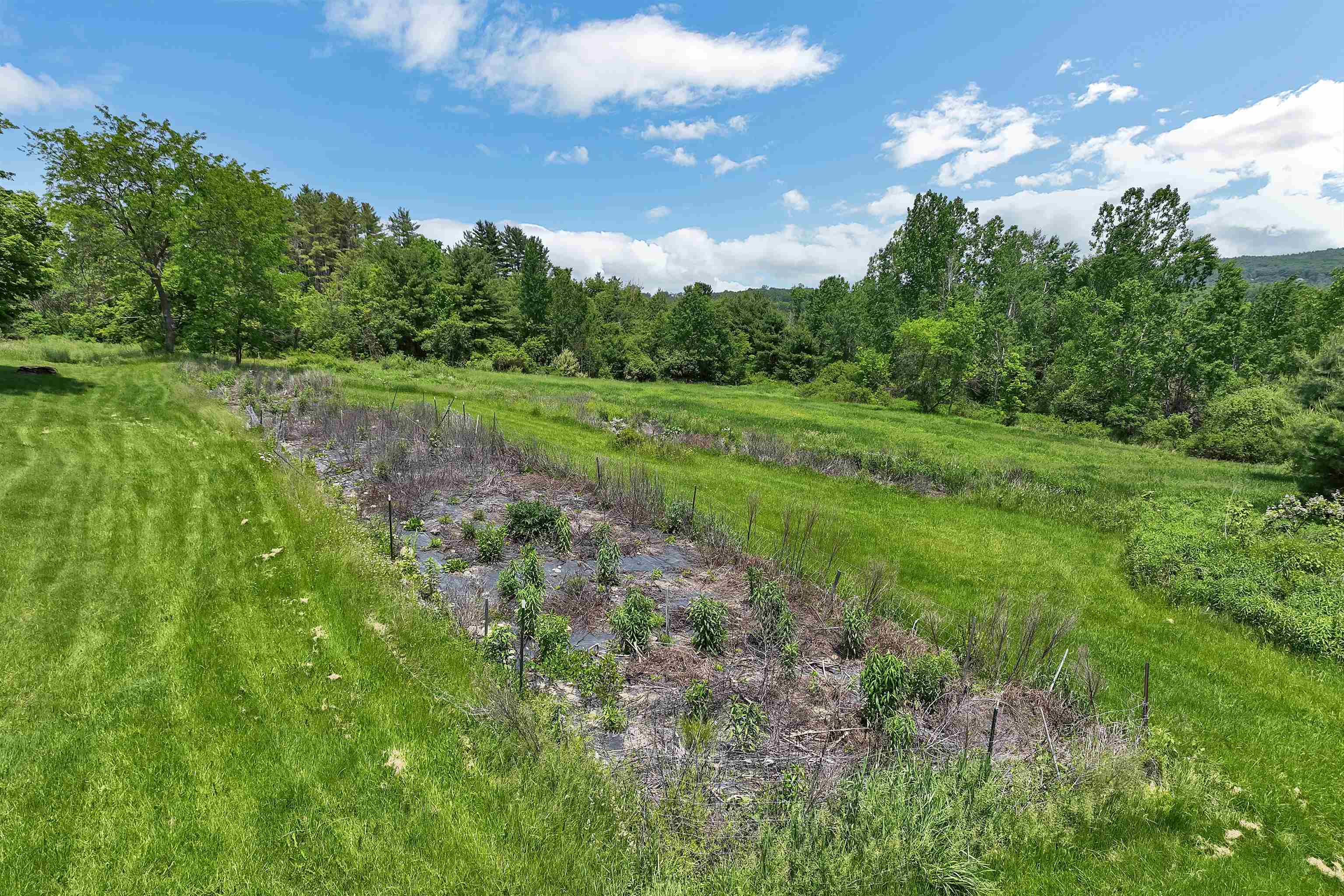 291 Calavant Hill Road Property Photo 8
