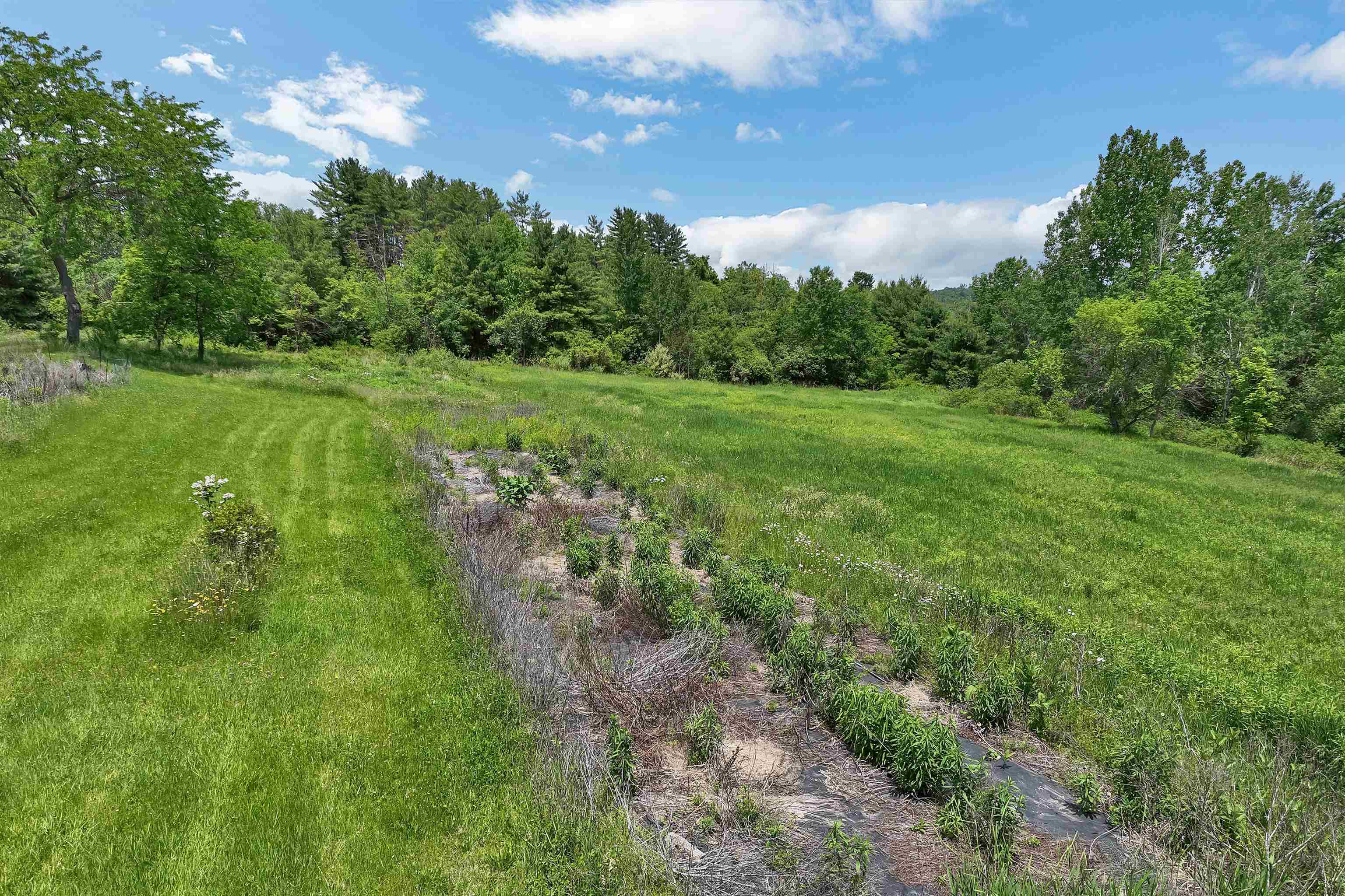 291 Calavant Hill Road Property Photo 9