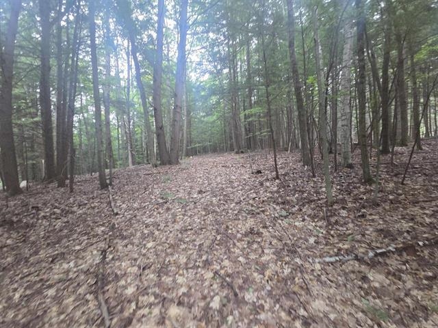 Map 09 Lot 30 Gould Pond Road Property Photo 1