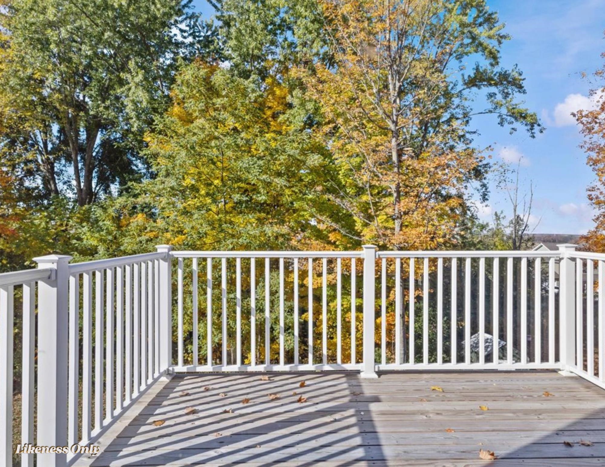 57 Reeves Road Property Photo 21