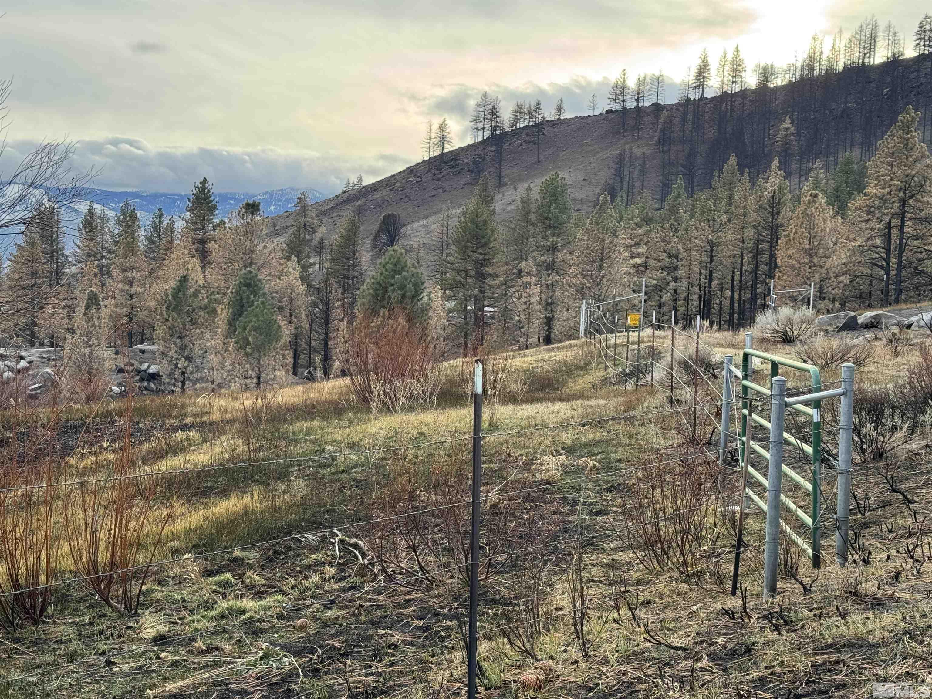 505 Kelly Canyon Property Photo 3