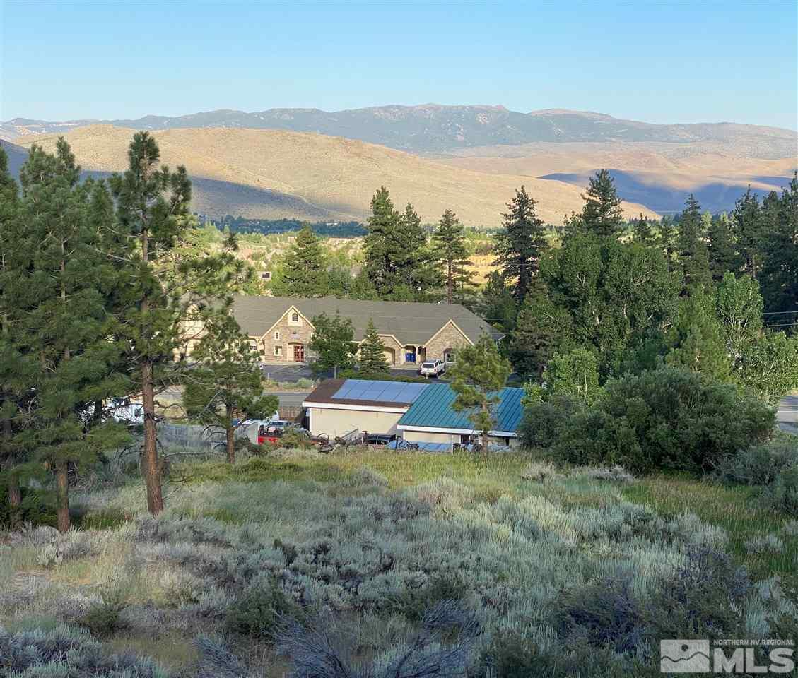 16795 Mt Rose Hwy Property Photo 2