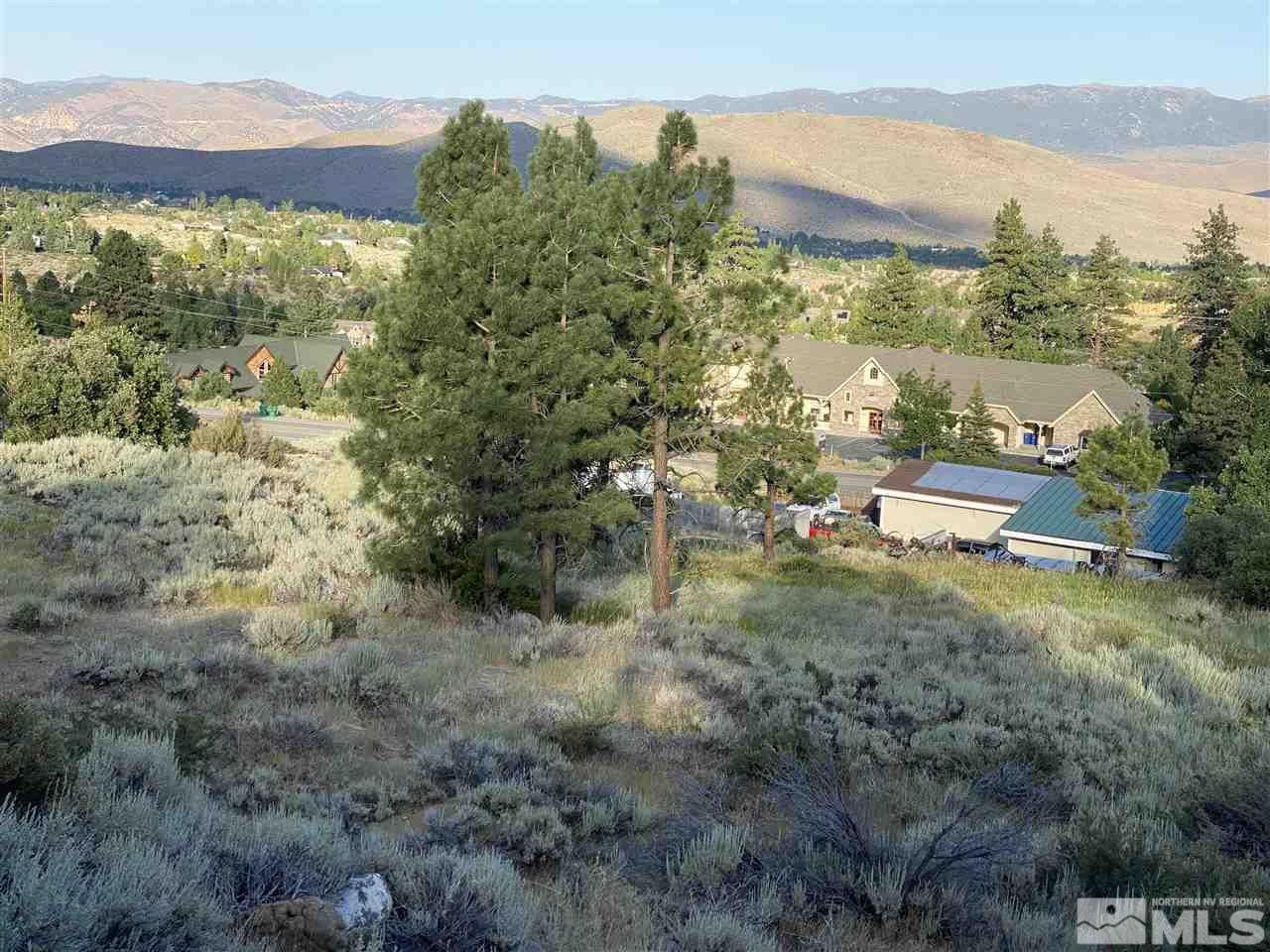 16795 Mt Rose Hwy Property Photo 3