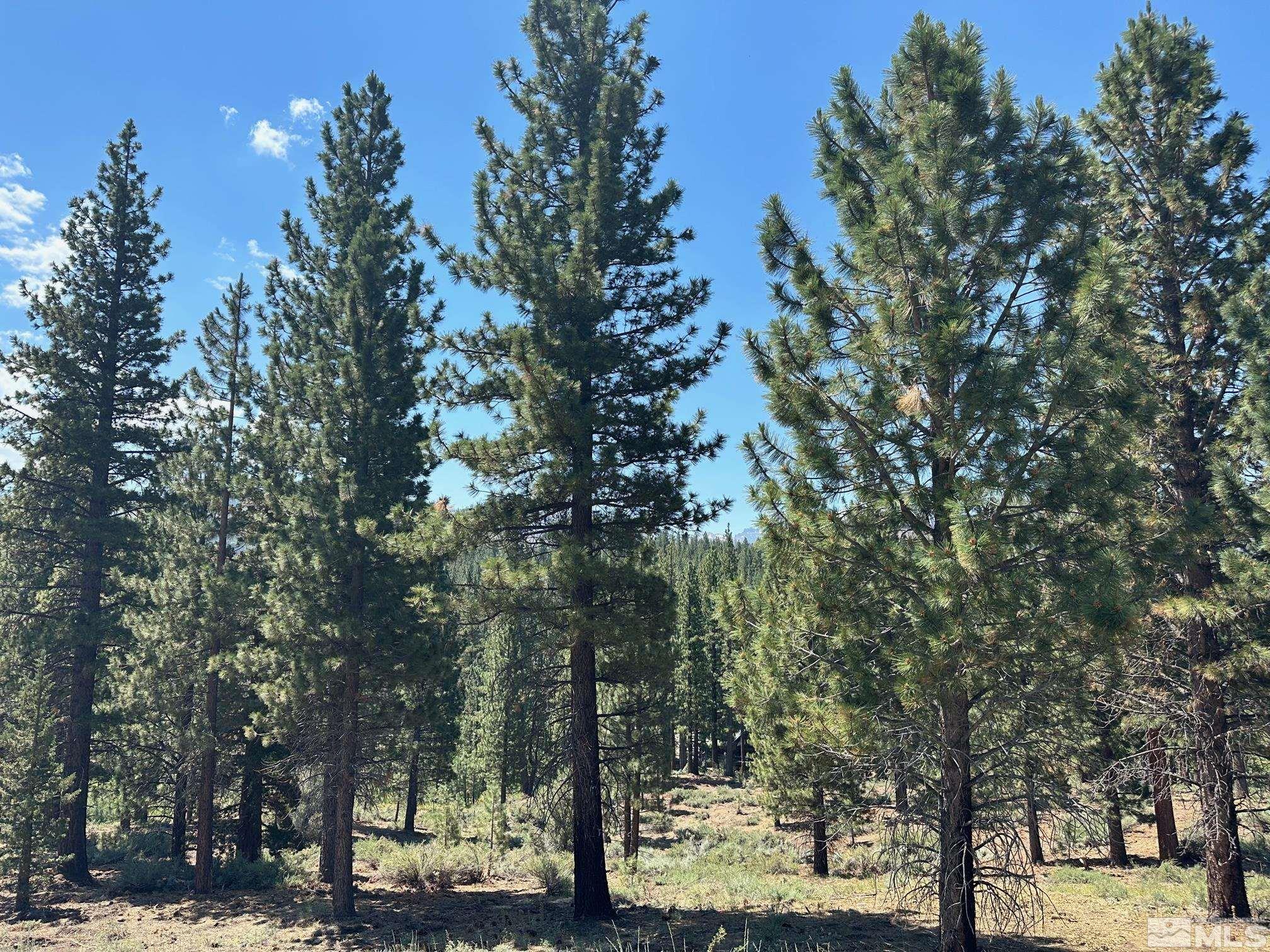 Lot 2 Raymond View Property Photo 1