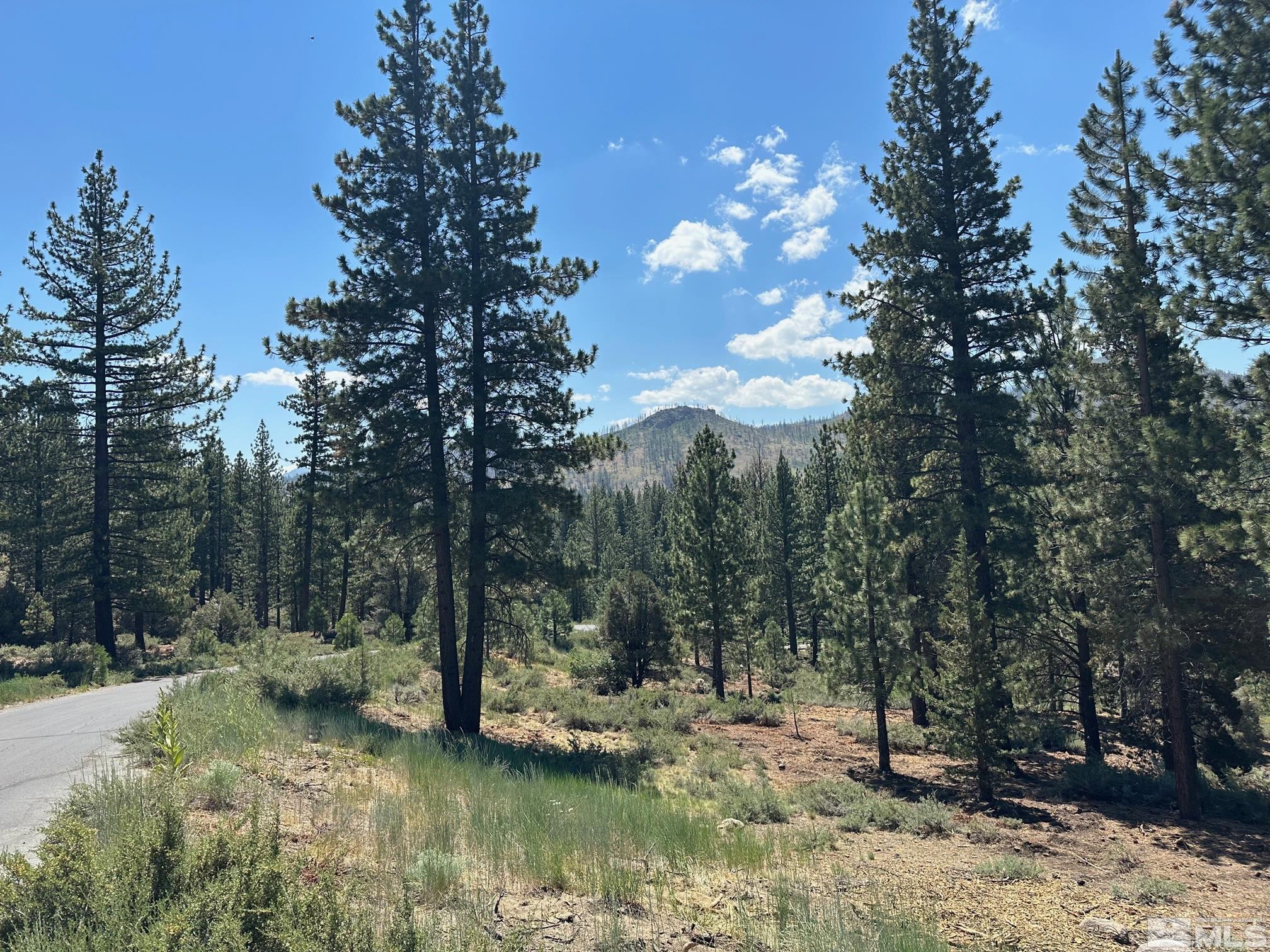 Lot 2 Raymond View Property Photo 2