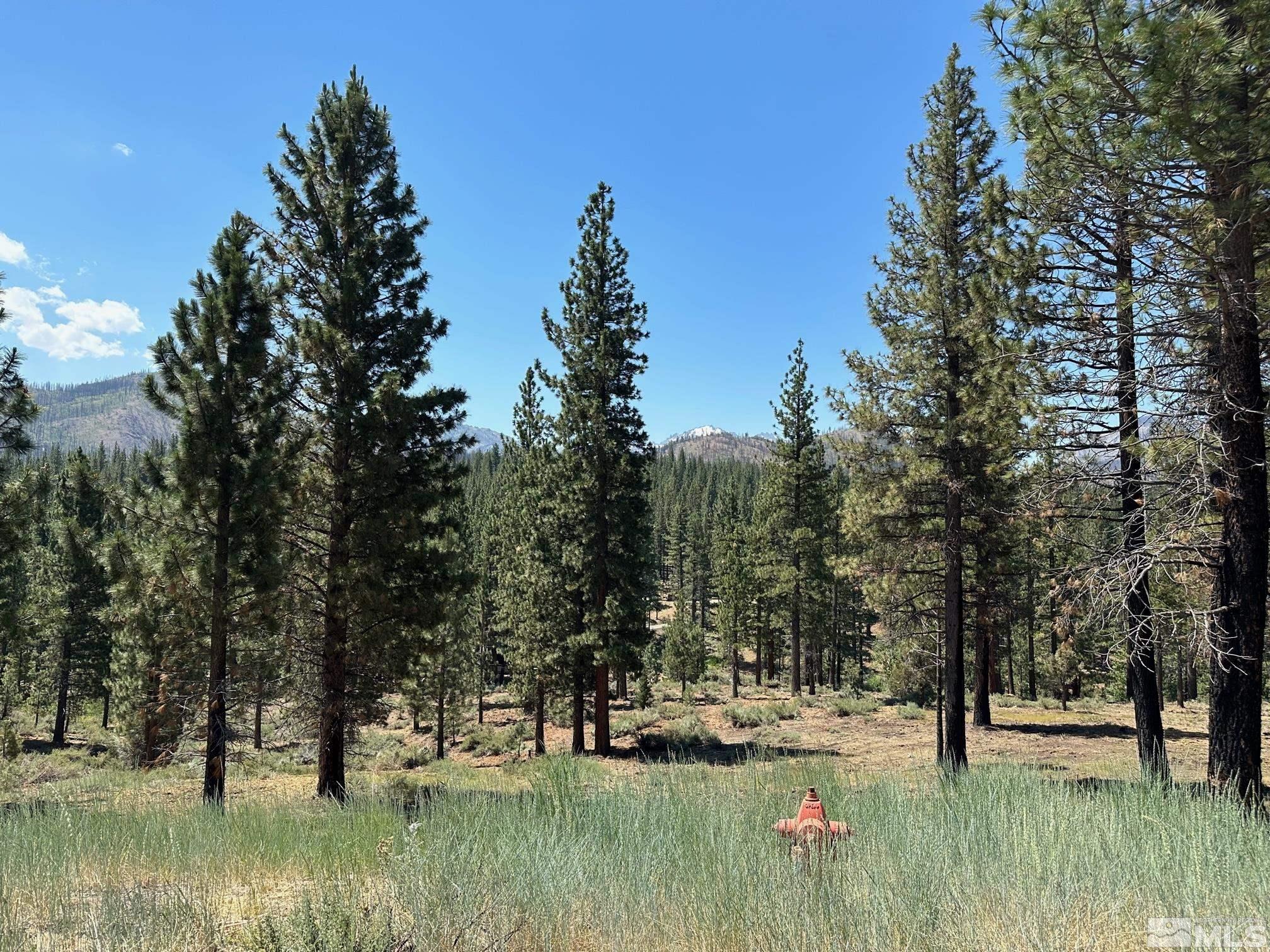 Lot 2 Raymond View Property Photo 4