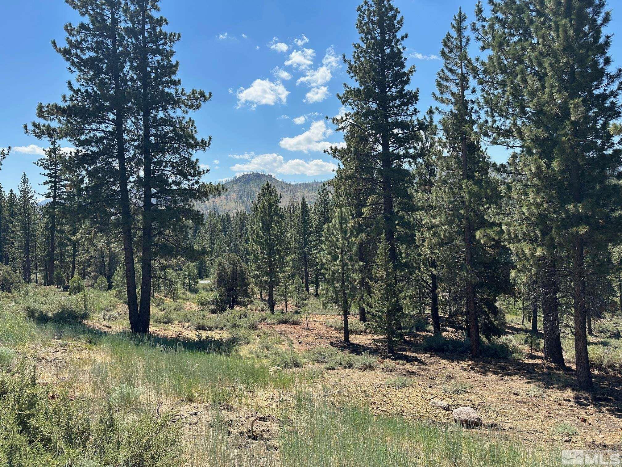 Lot 2 Raymond View Property Photo 5