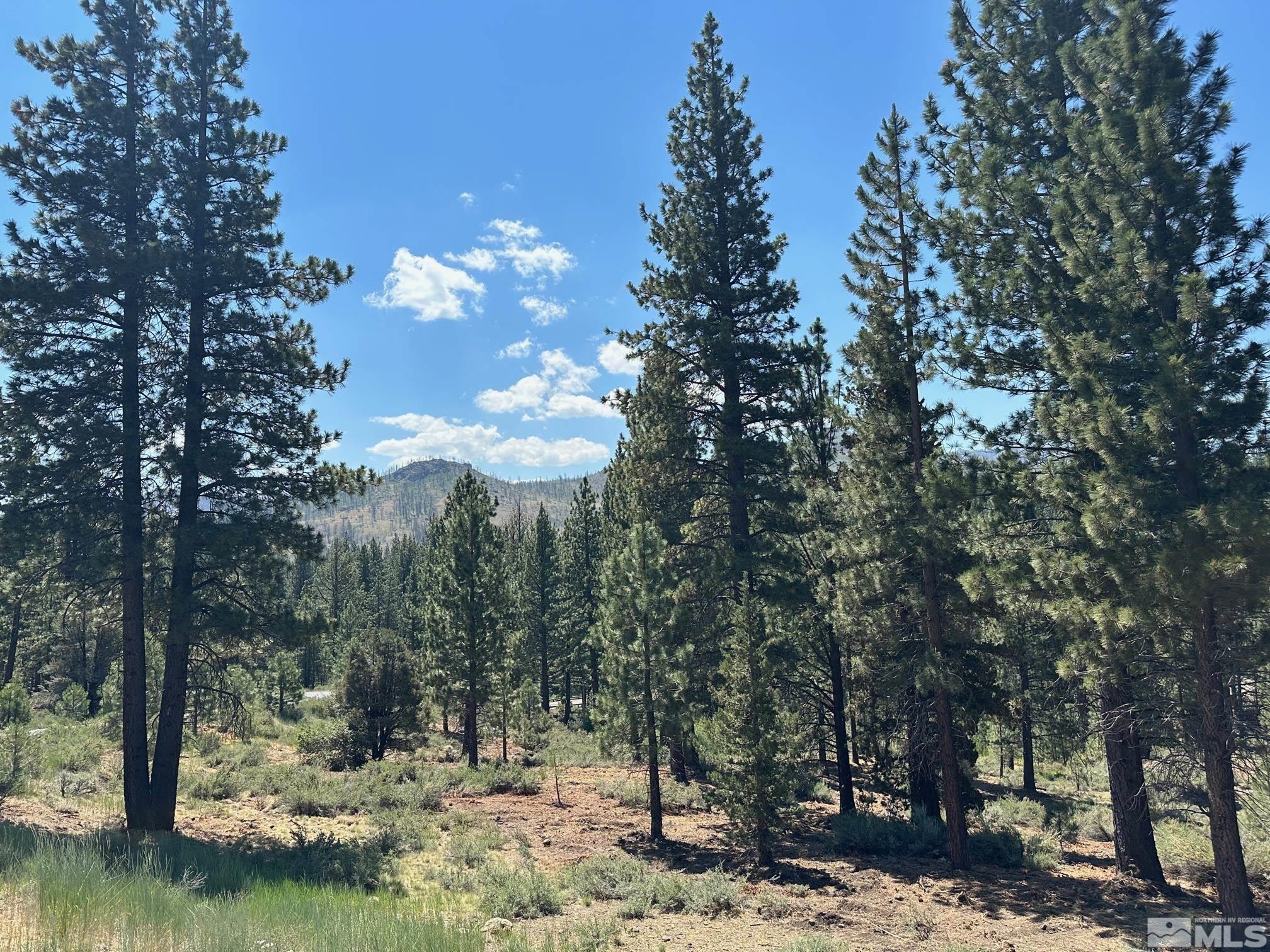 Lot 2 Raymond View Property Photo 8