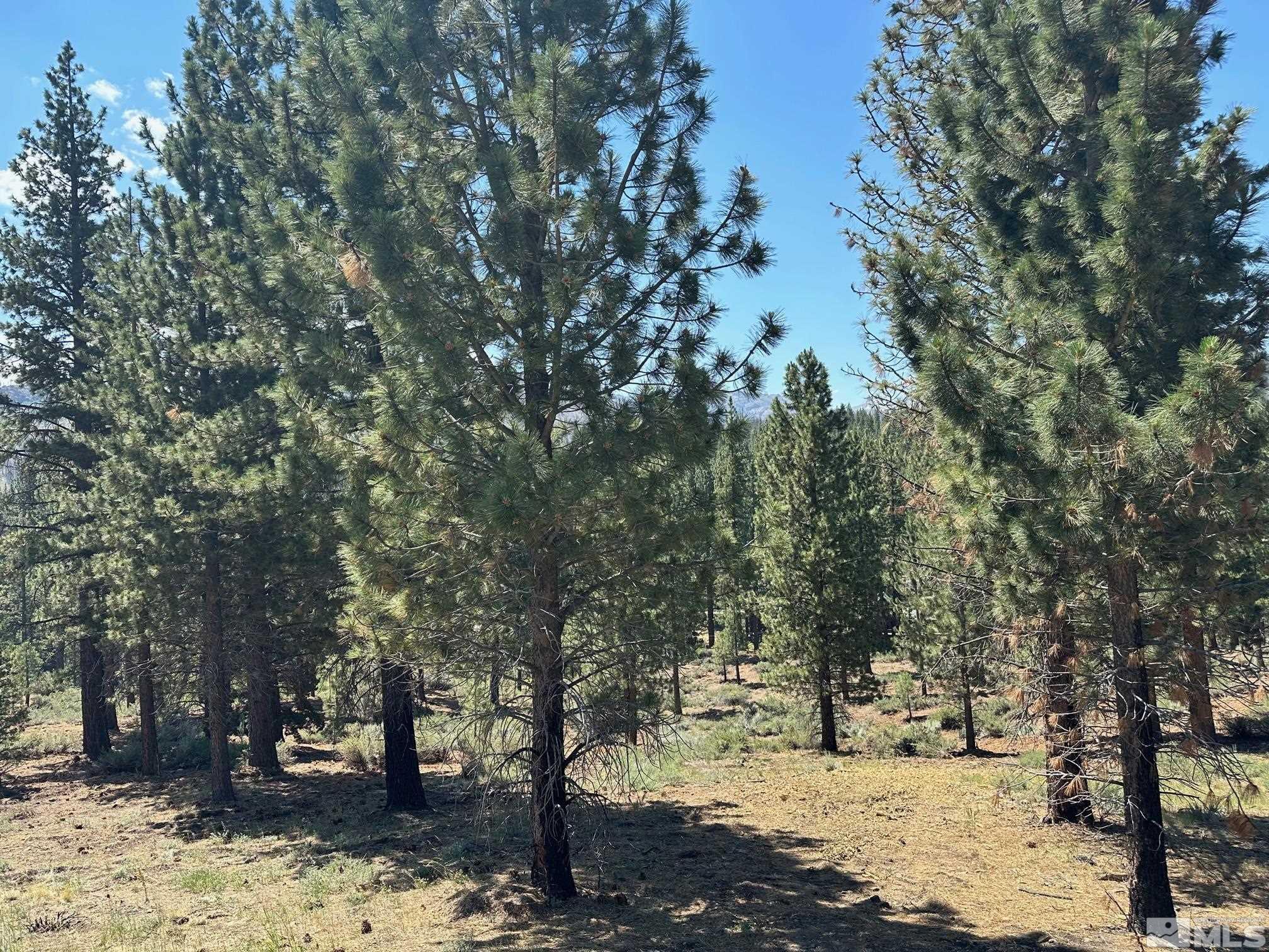 Lot 2 Raymond View Property Photo 9