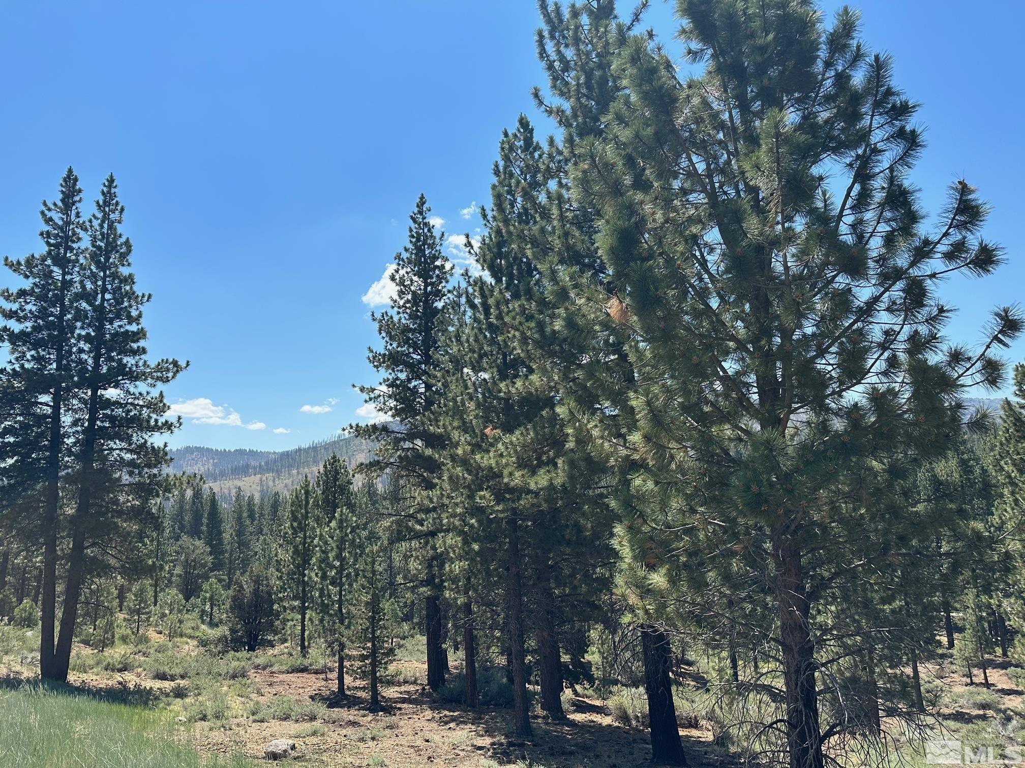Lot 2 Raymond View Property Photo 11