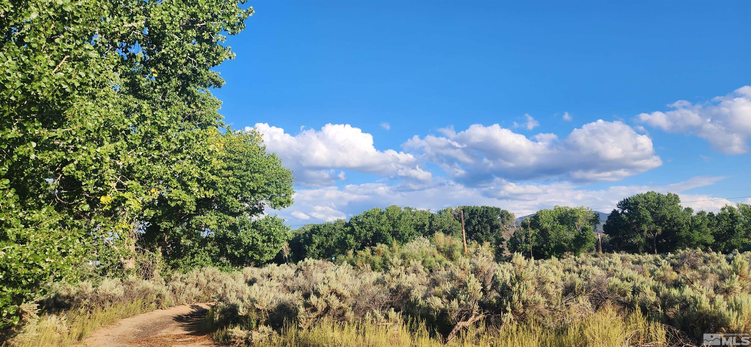 5155 E Hwy 50 Property Photo 10