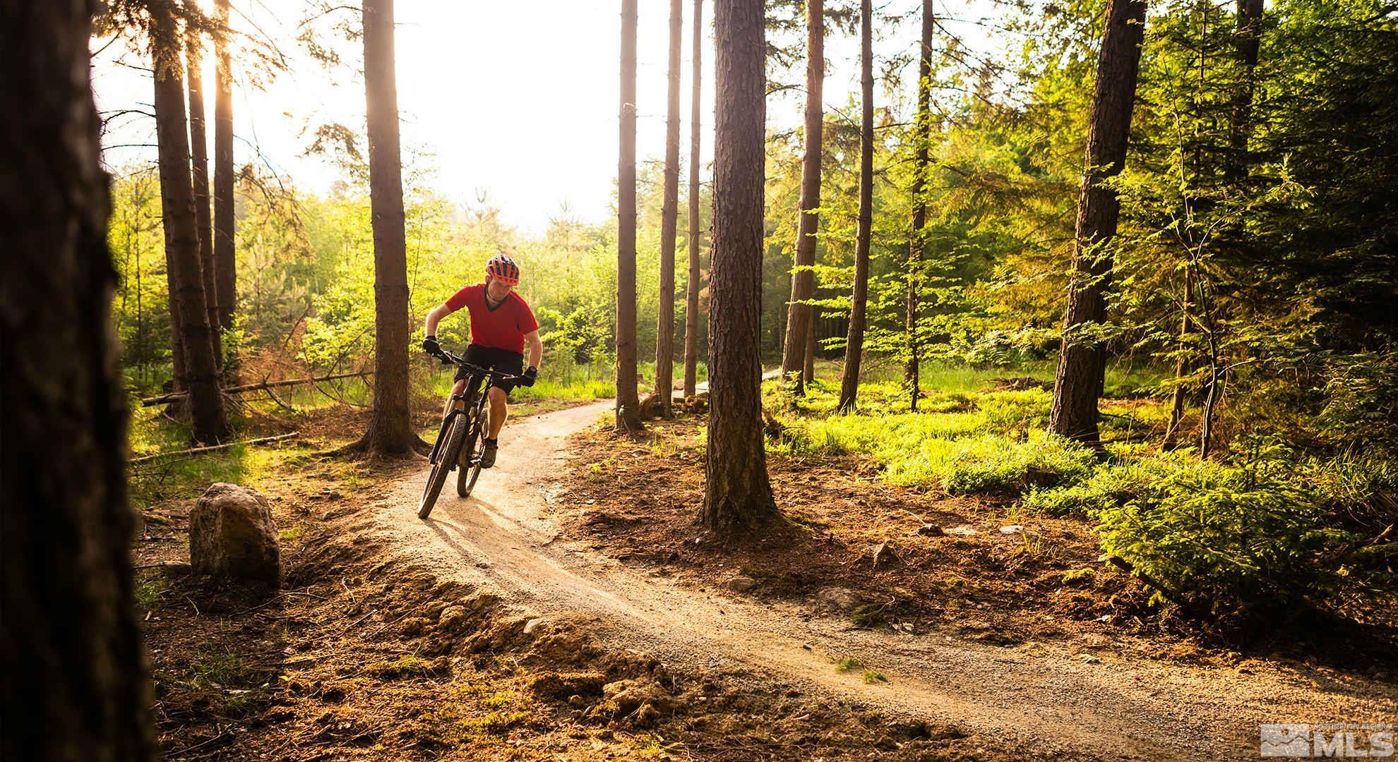 3531 Knob Point Trail Property Photo 31