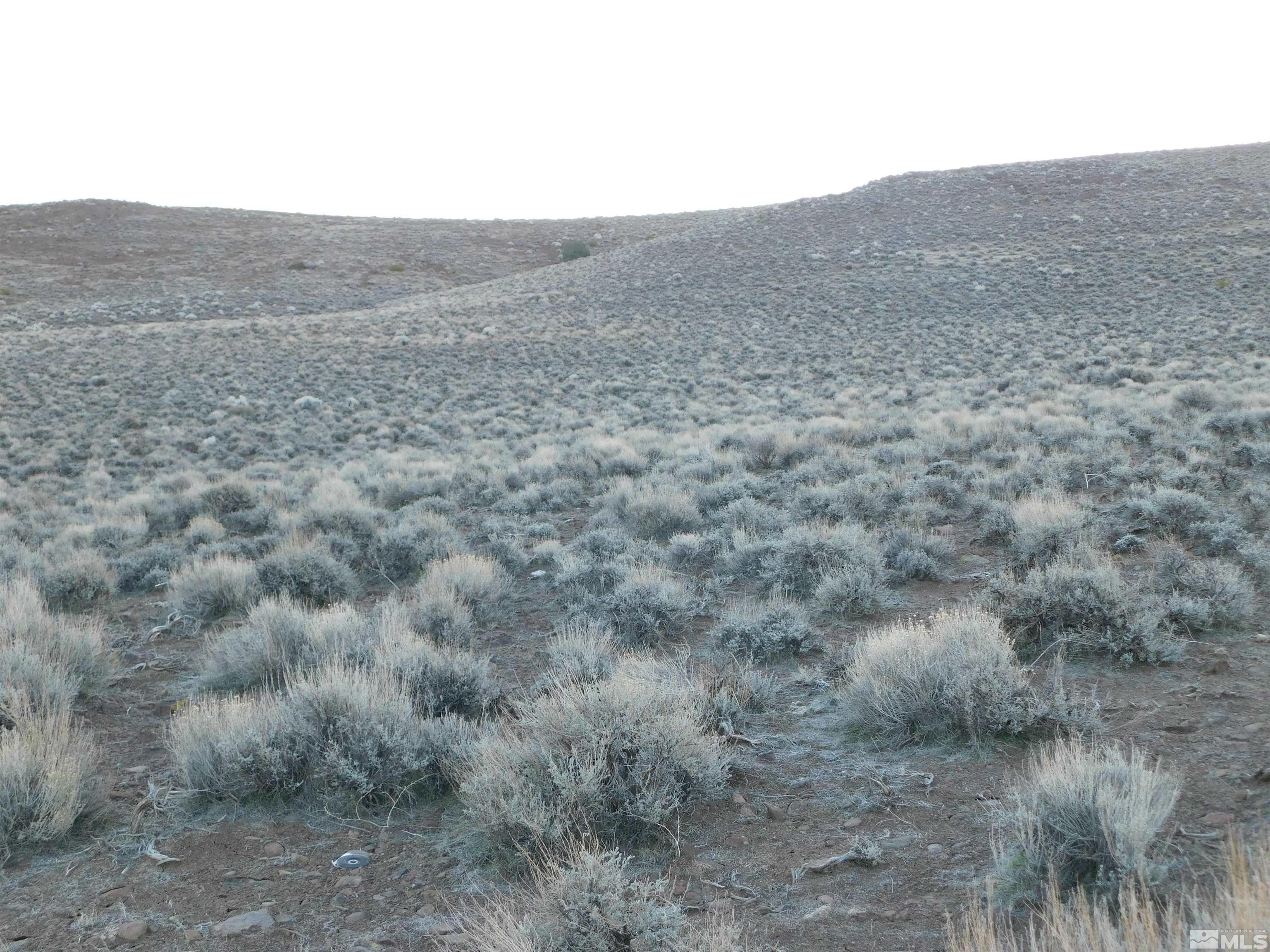 00610106 Schaad Property Photo 8