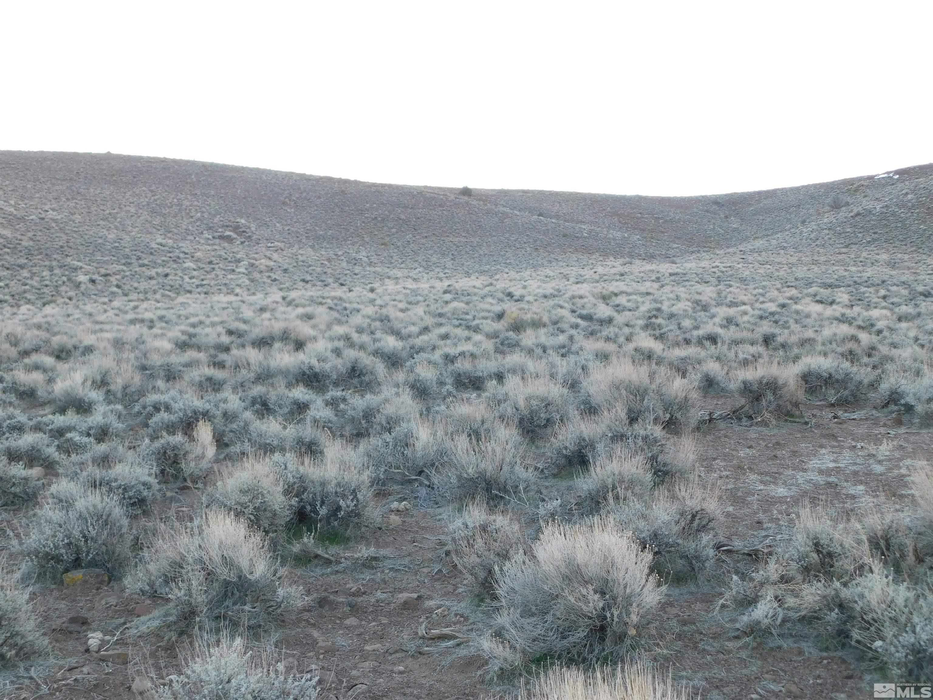 00610106 Schaad Property Photo 9