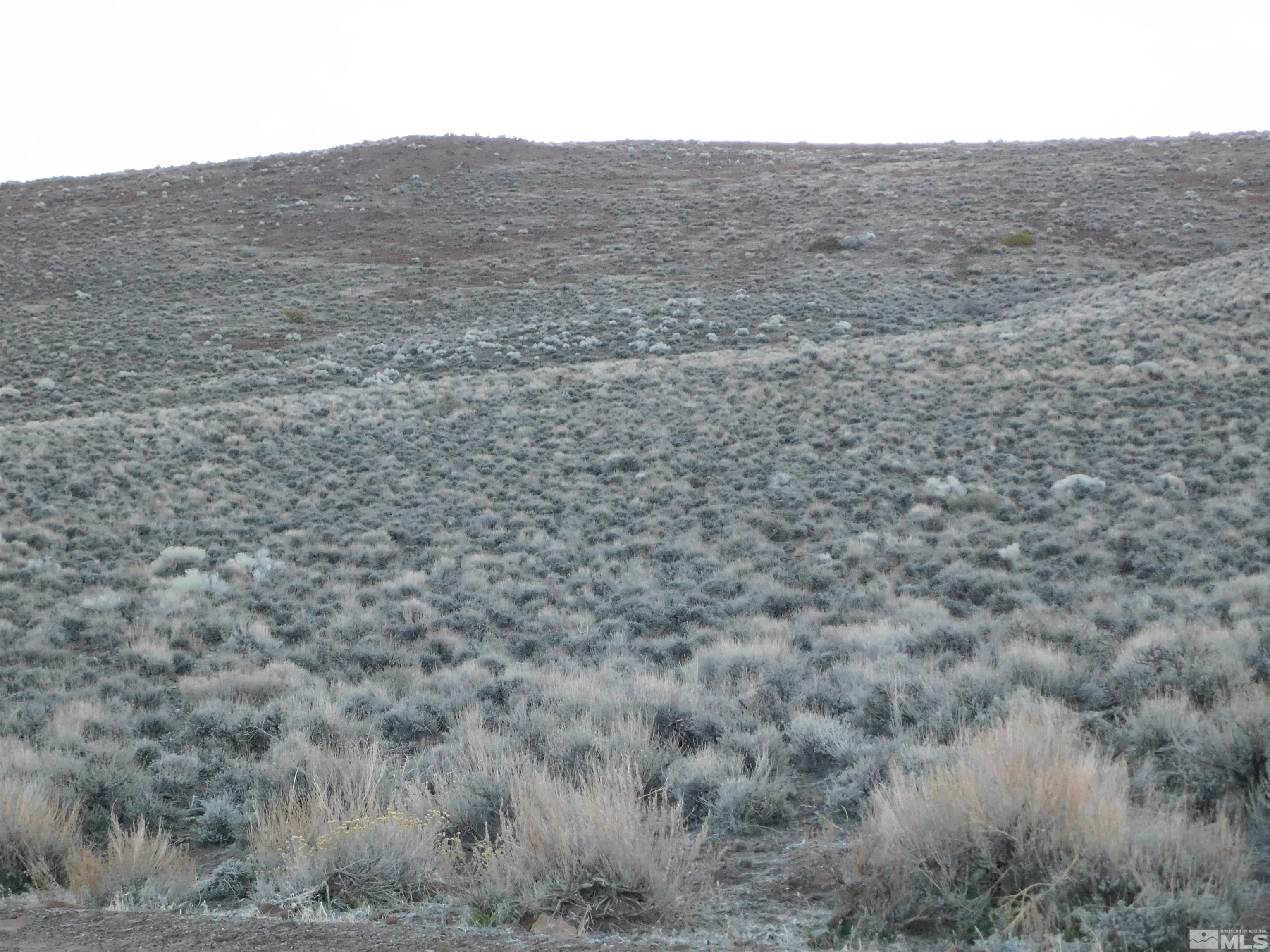 00610106 Schaad Property Photo 11